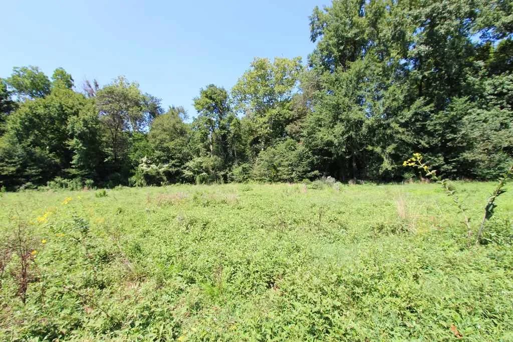 Property at 950  Doy b - Image 22