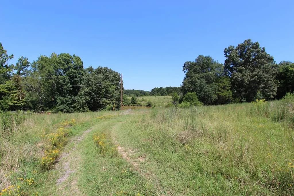 Property at 950  Doy b - Image 3