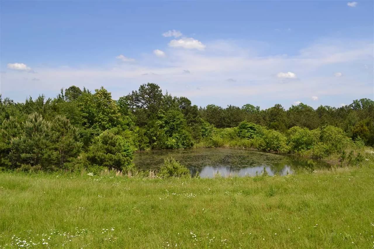 Property at 4493 N Heber springs - Image 9
