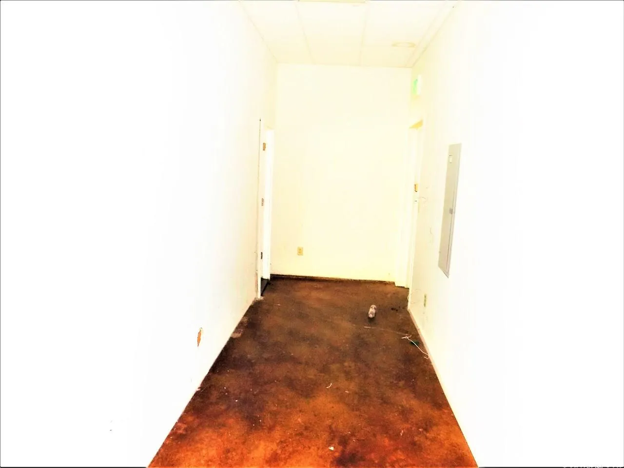Property at 1700 E Johnson - Image 9