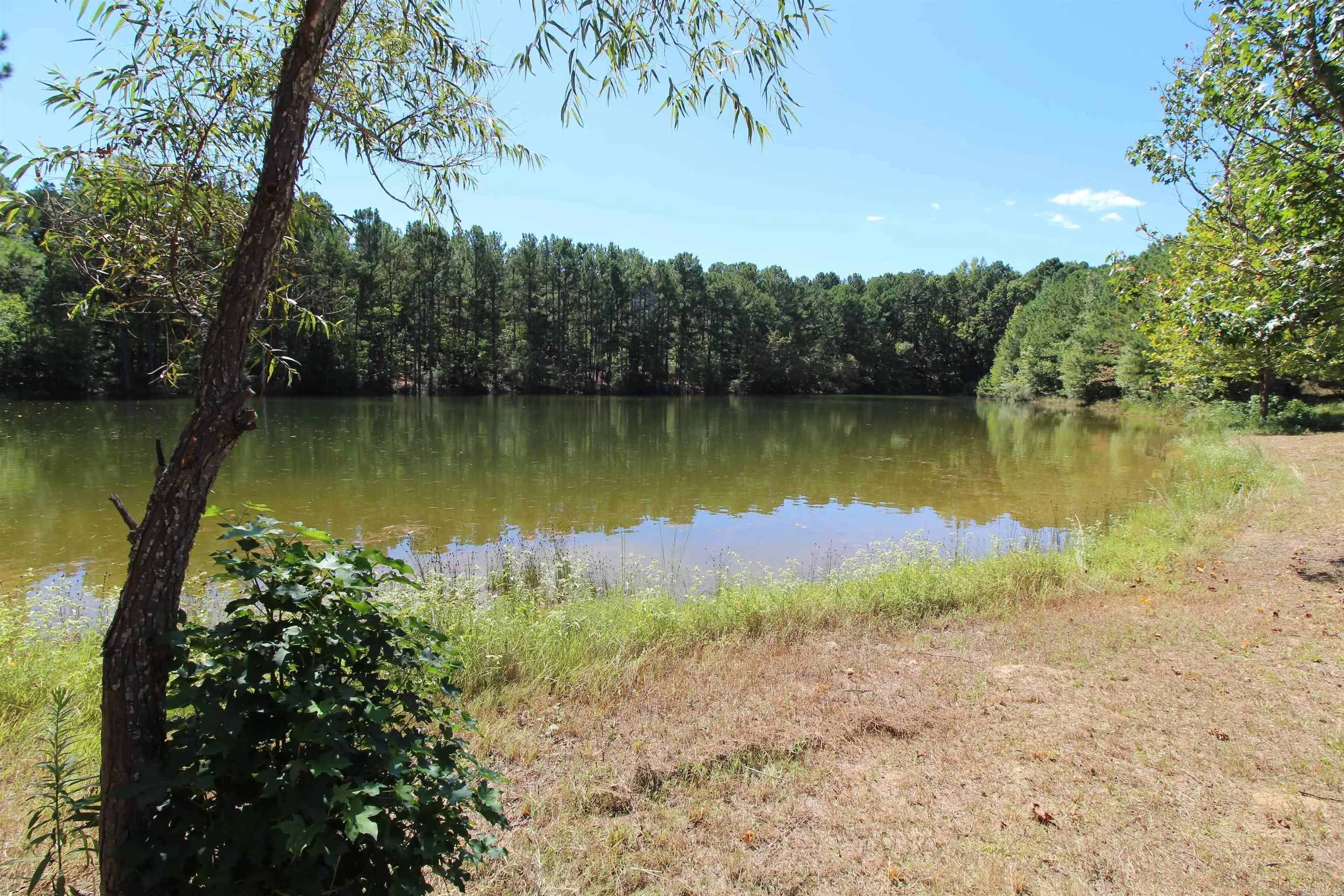 Property at 2815  Willow springs - Image 2