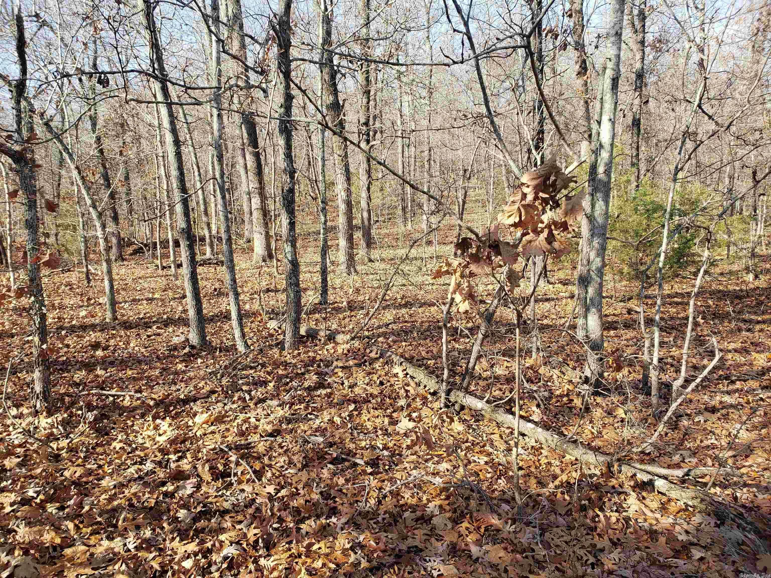 Property at L-61 & 62, B-7  Quenemo - Image 2