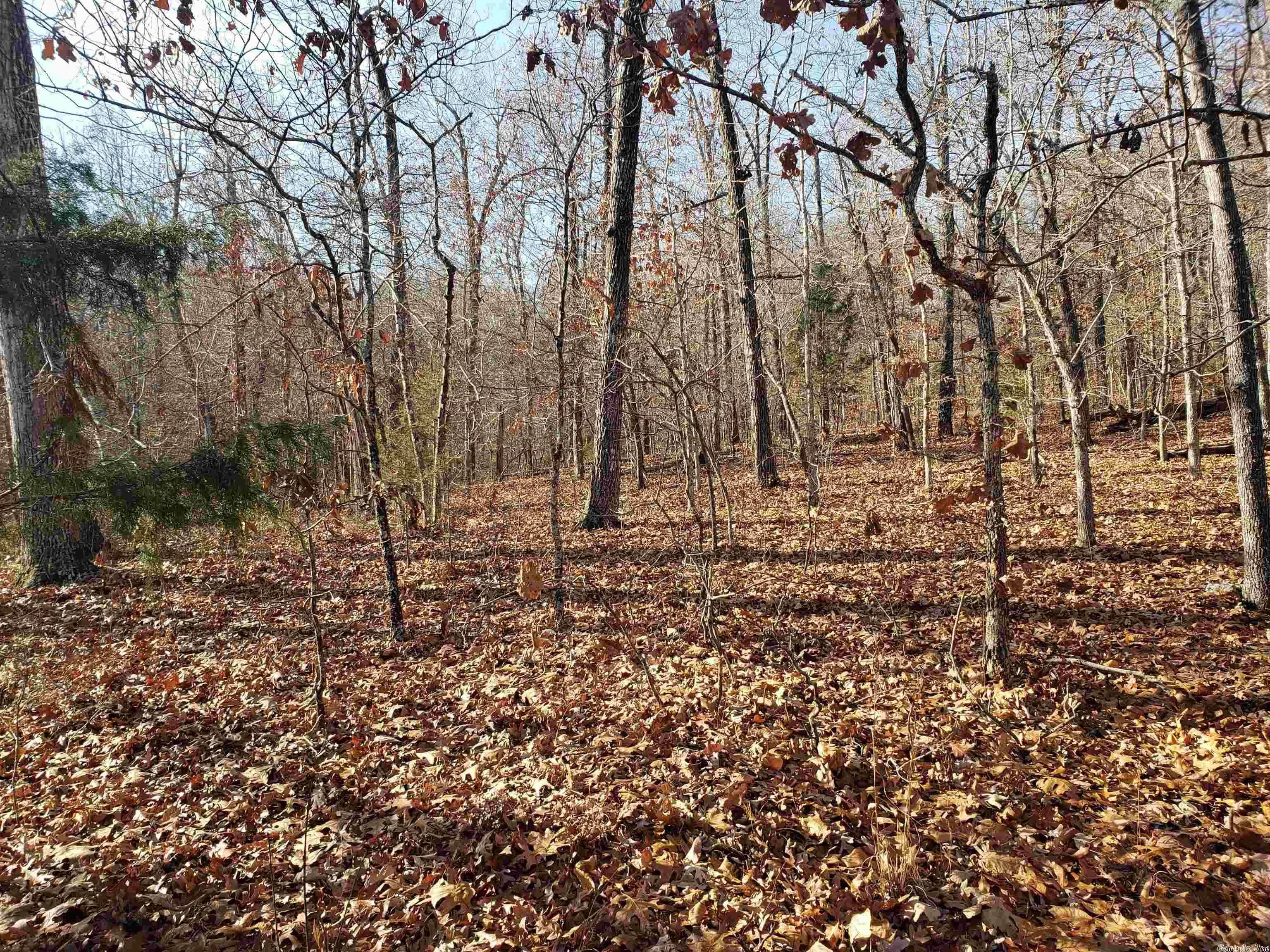 Property at L-61 & 62, B-7  Quenemo - Image 1