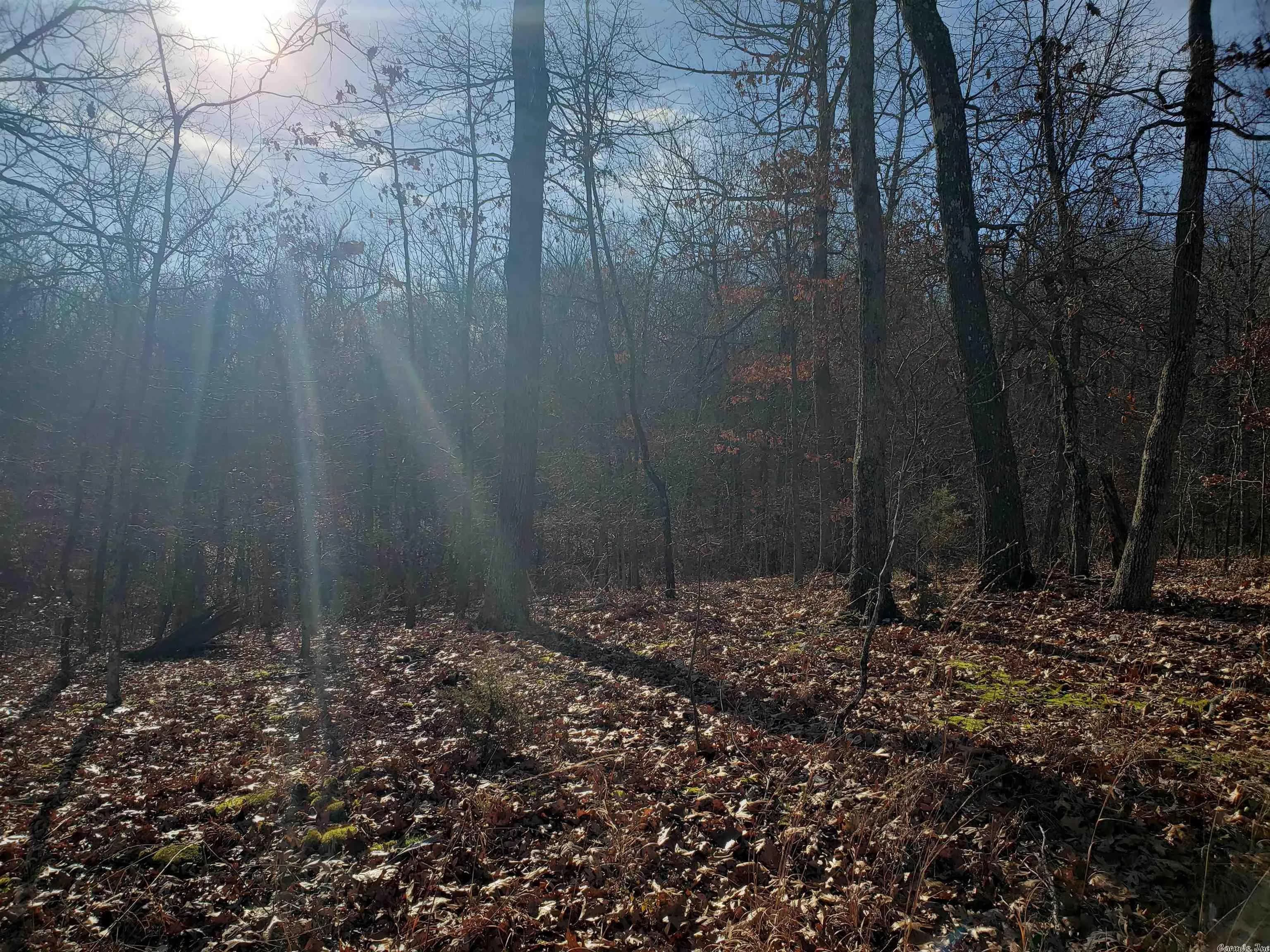 Property at L-61 & 62, B-7  Quenemo - Image 6
