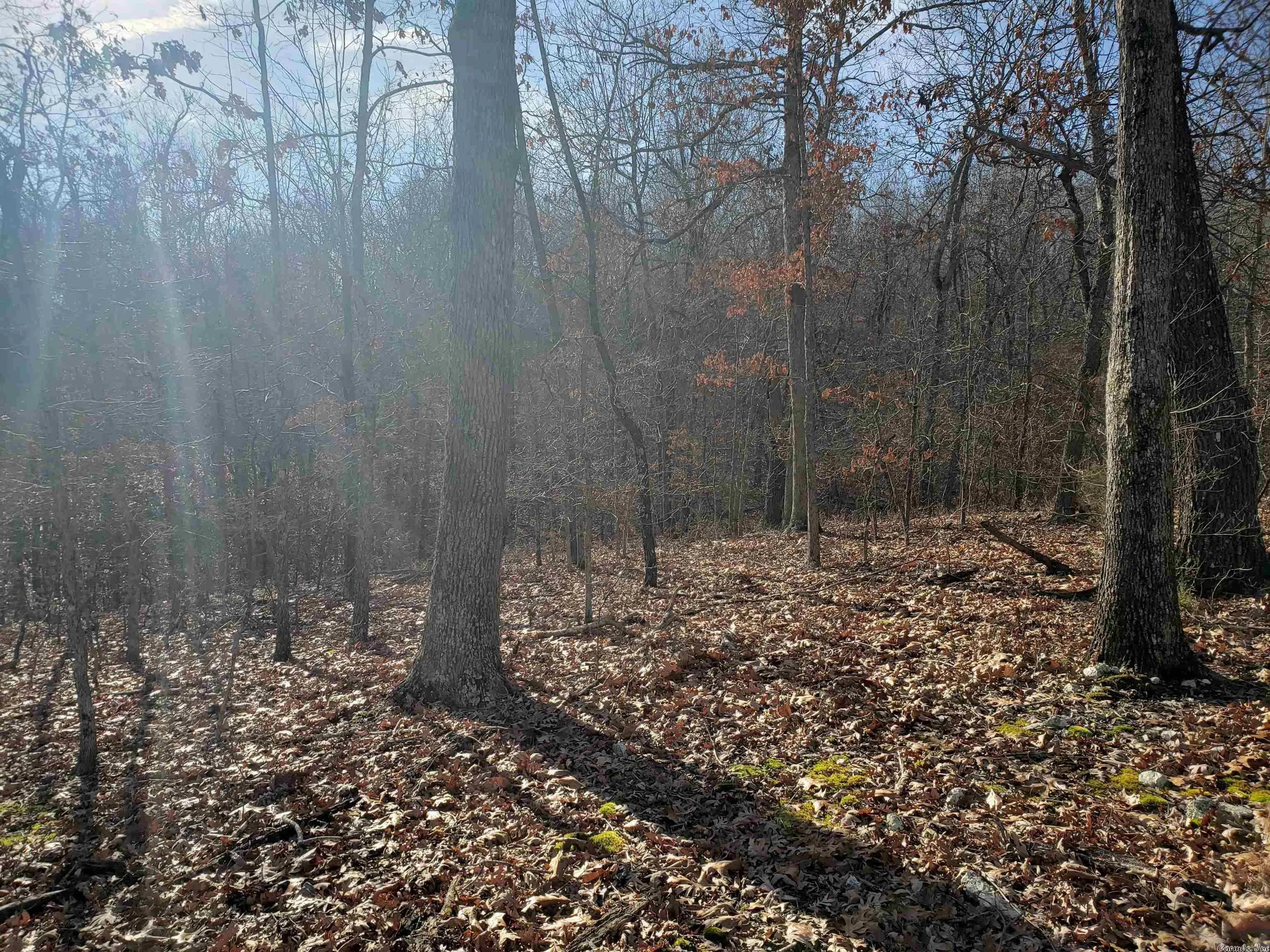 Property at L-61 & 62, B-7  Quenemo - Image 13
