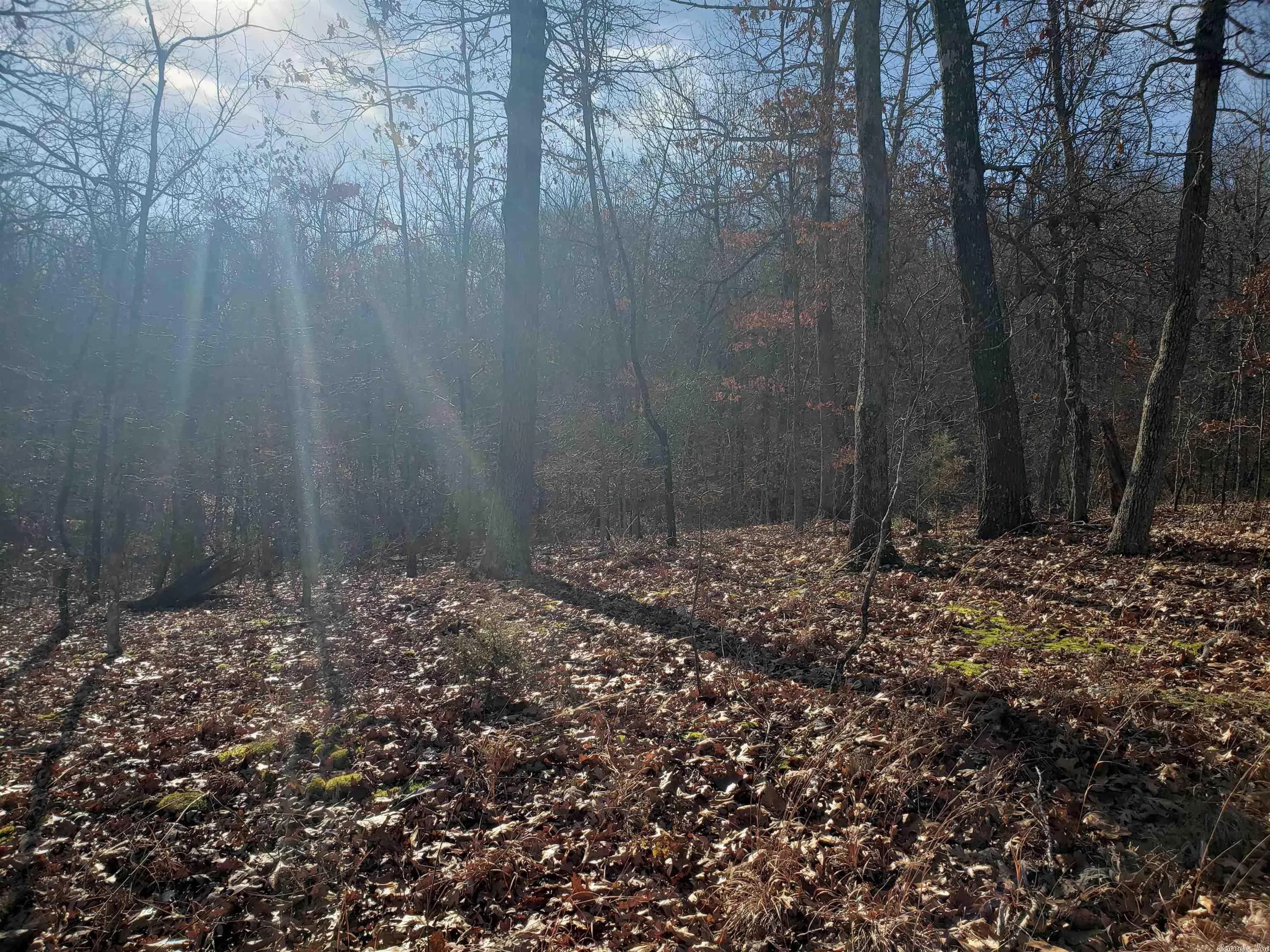 Property at L-61 & 62, B-7  Quenemo - Image 7