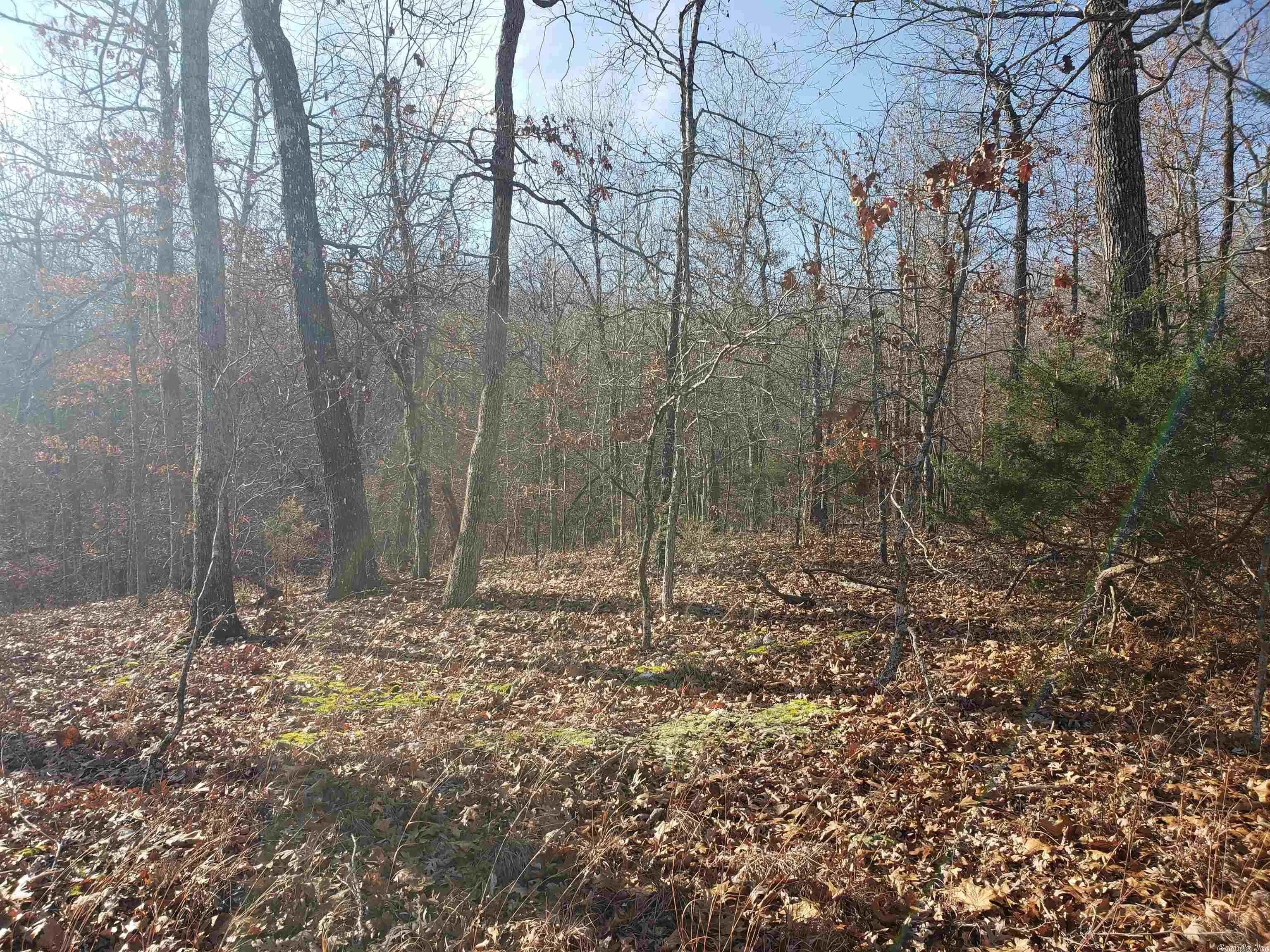 Property at L-61 & 62, B-7  Quenemo - Image 8