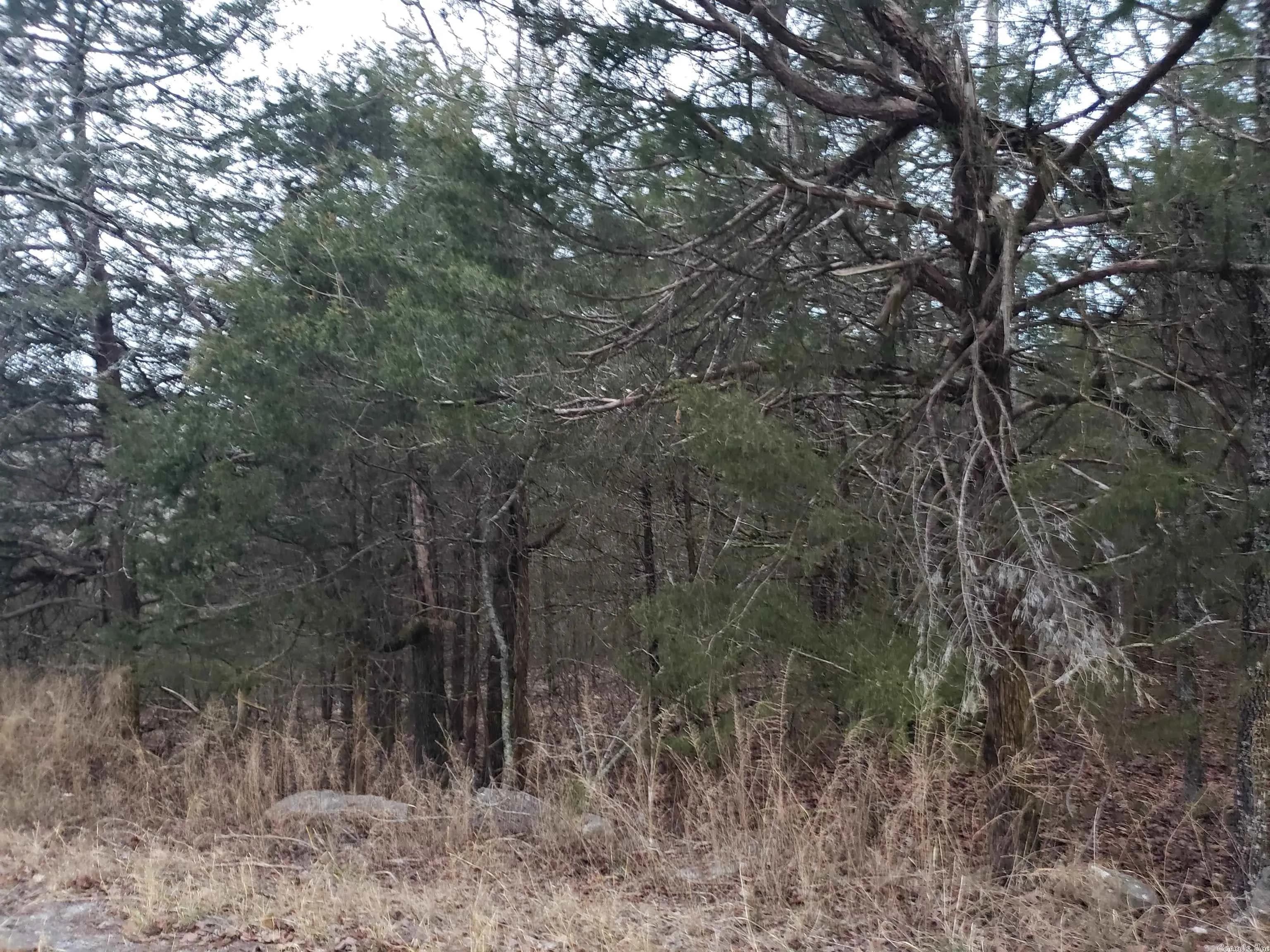Property at L-69, 70, & 71  Hernando - Image 11