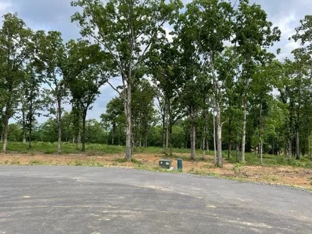 Property at Orchard hill lot 28 ph 3 - Image 4