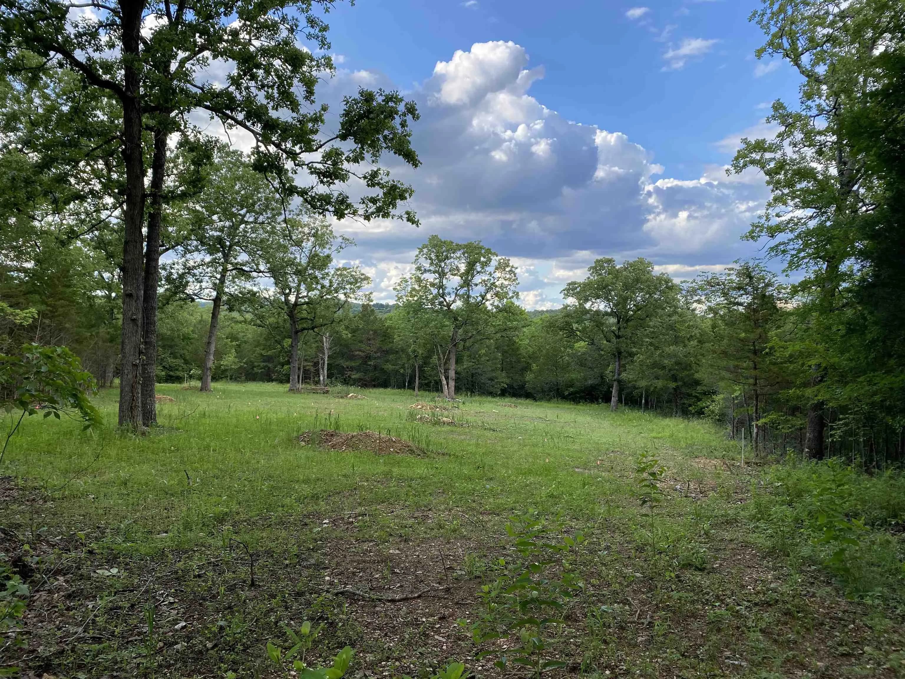 Property at 000  Mc 8063 - Image 3