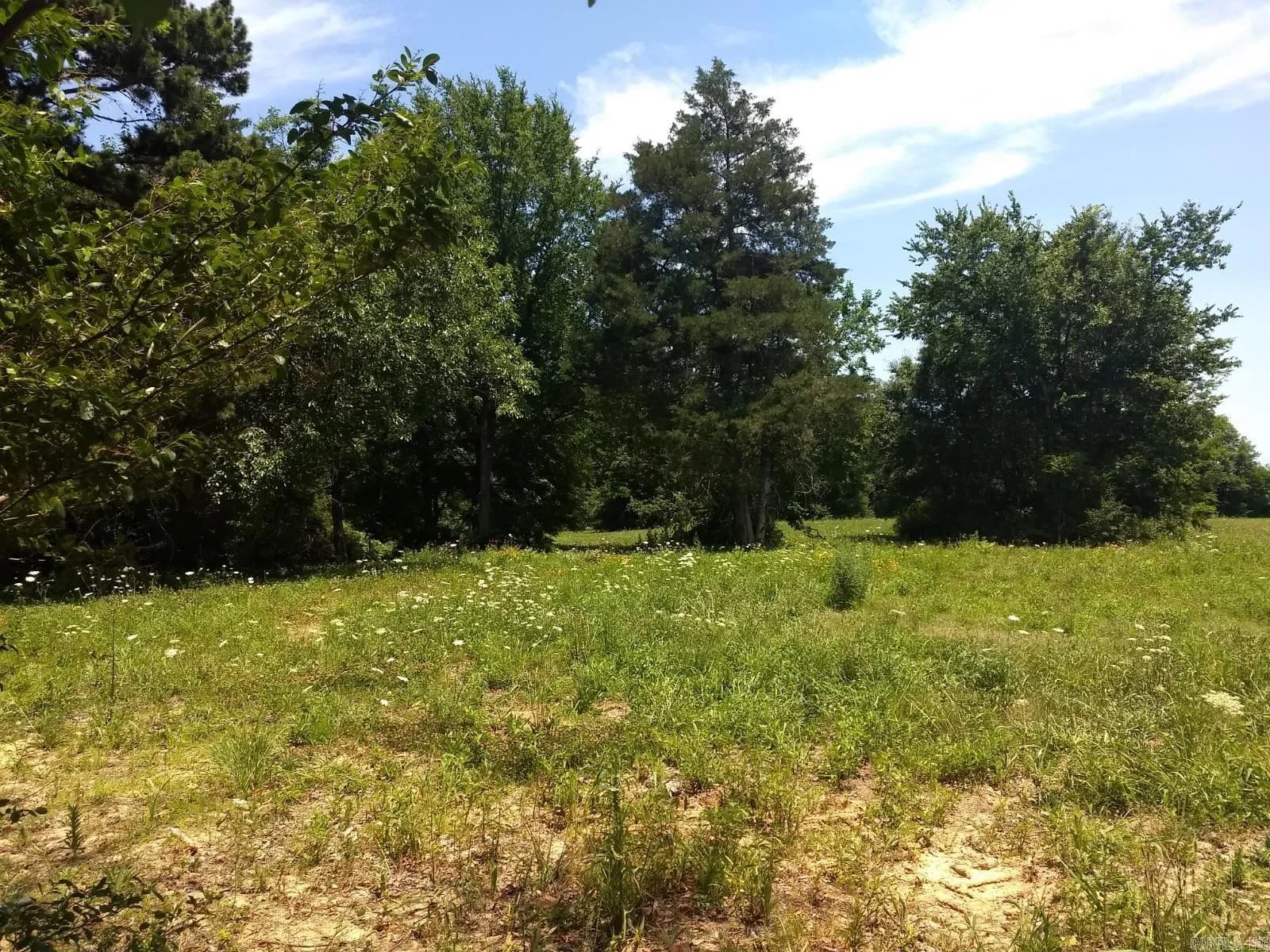 Property at 2300  Browns - Image 2