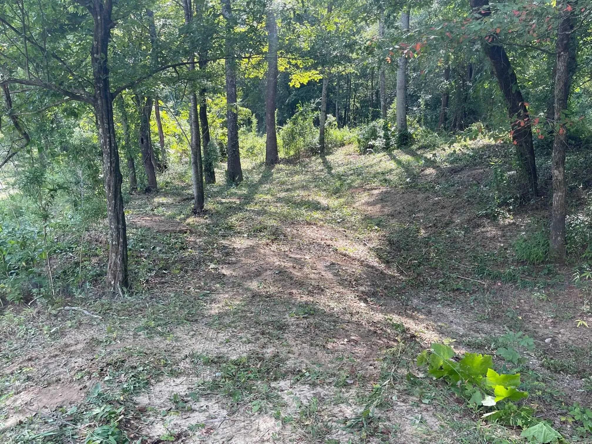 Property at 9999  Polk road 38 - Image 16