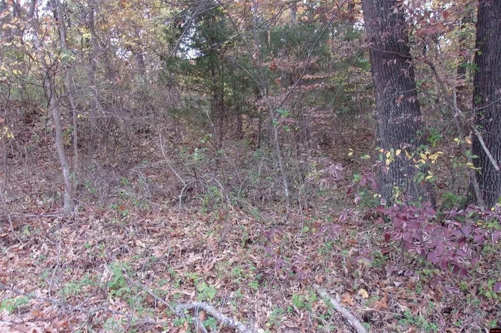 Property at 00  Flint drive - Image 5