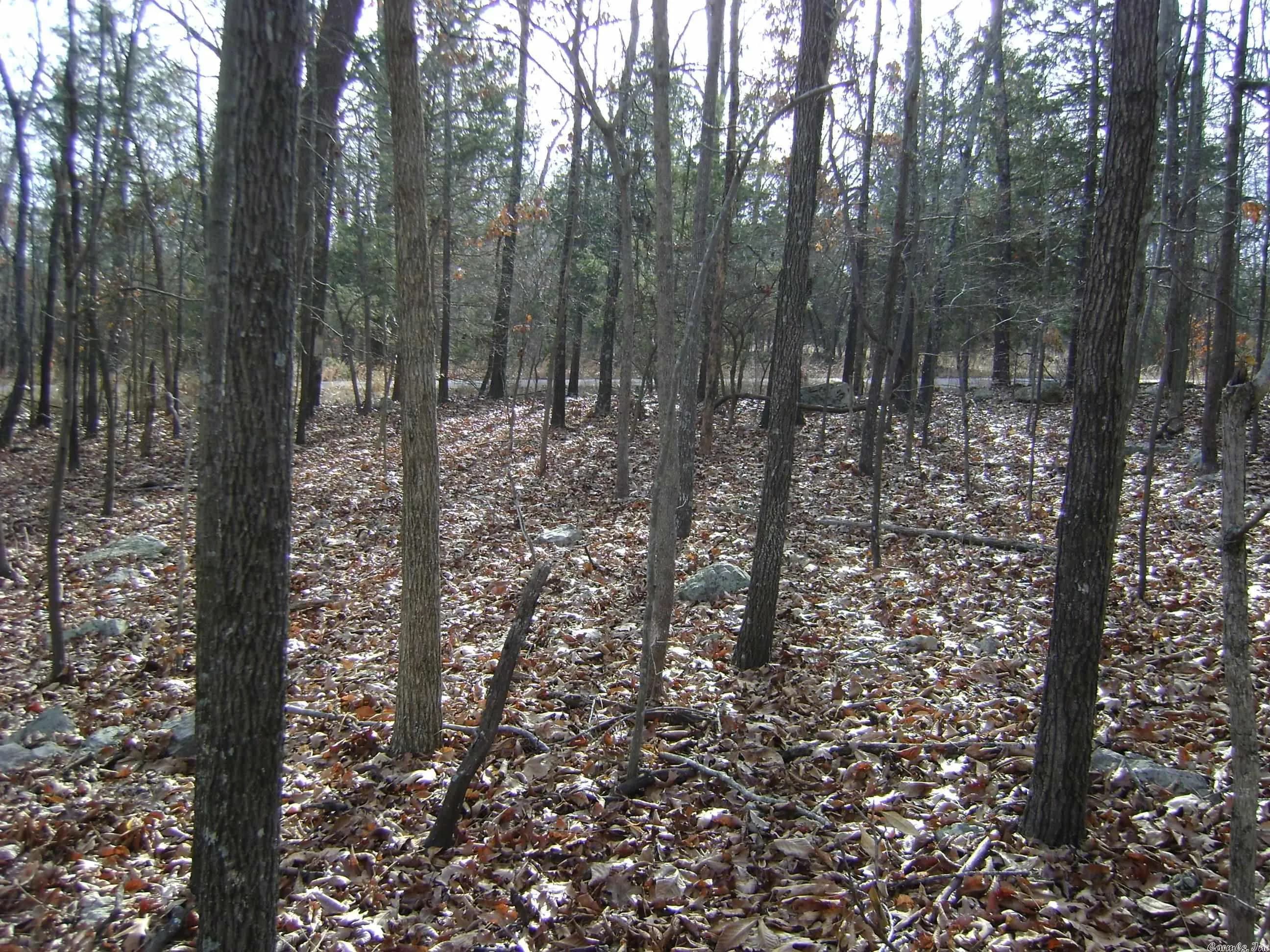 Property at 1410  Sleepy hollow - Image 7