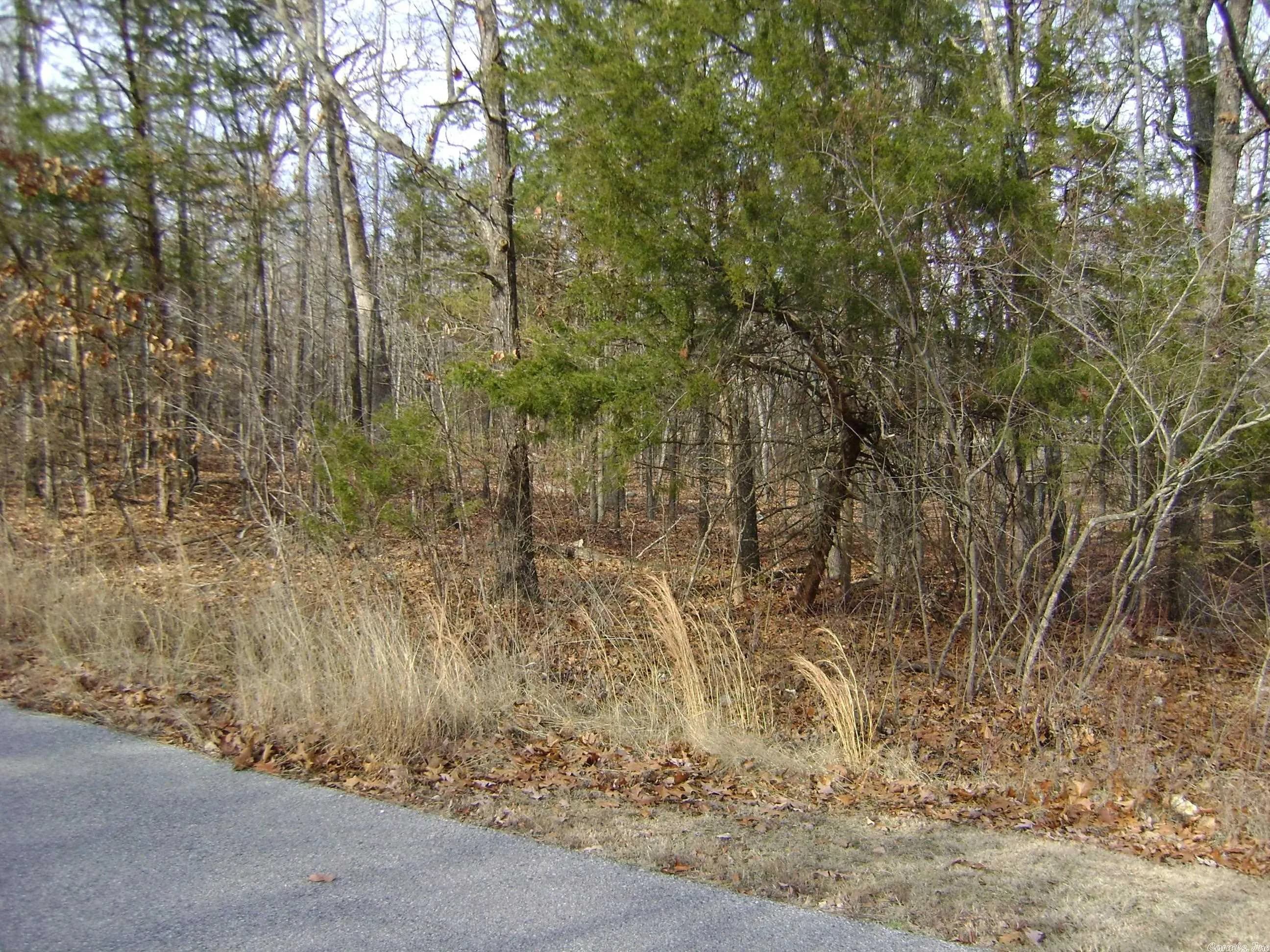 Property at 1410  Sleepy hollow - Image 13