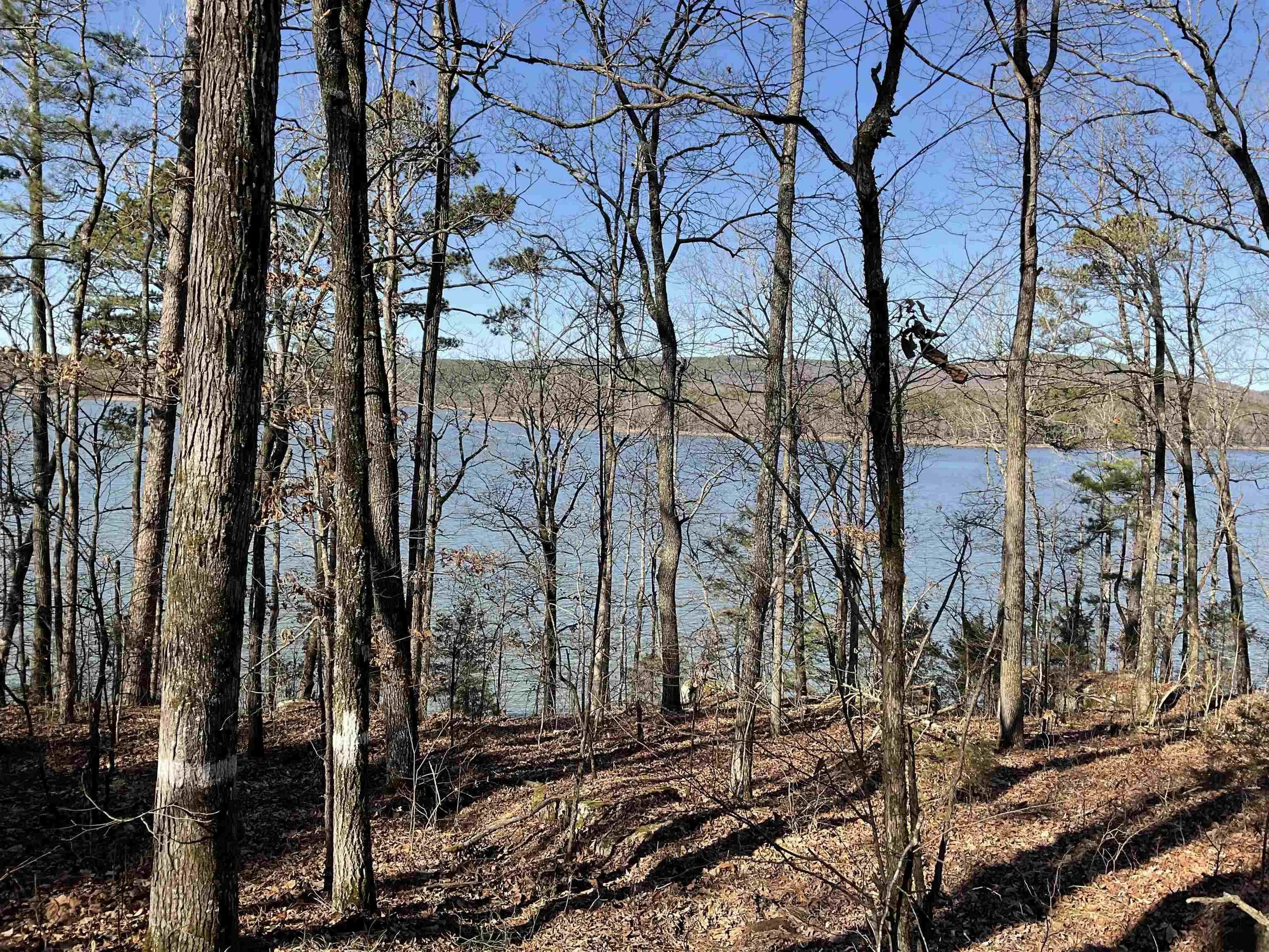Property at L11  Elrod dr. - Image 26