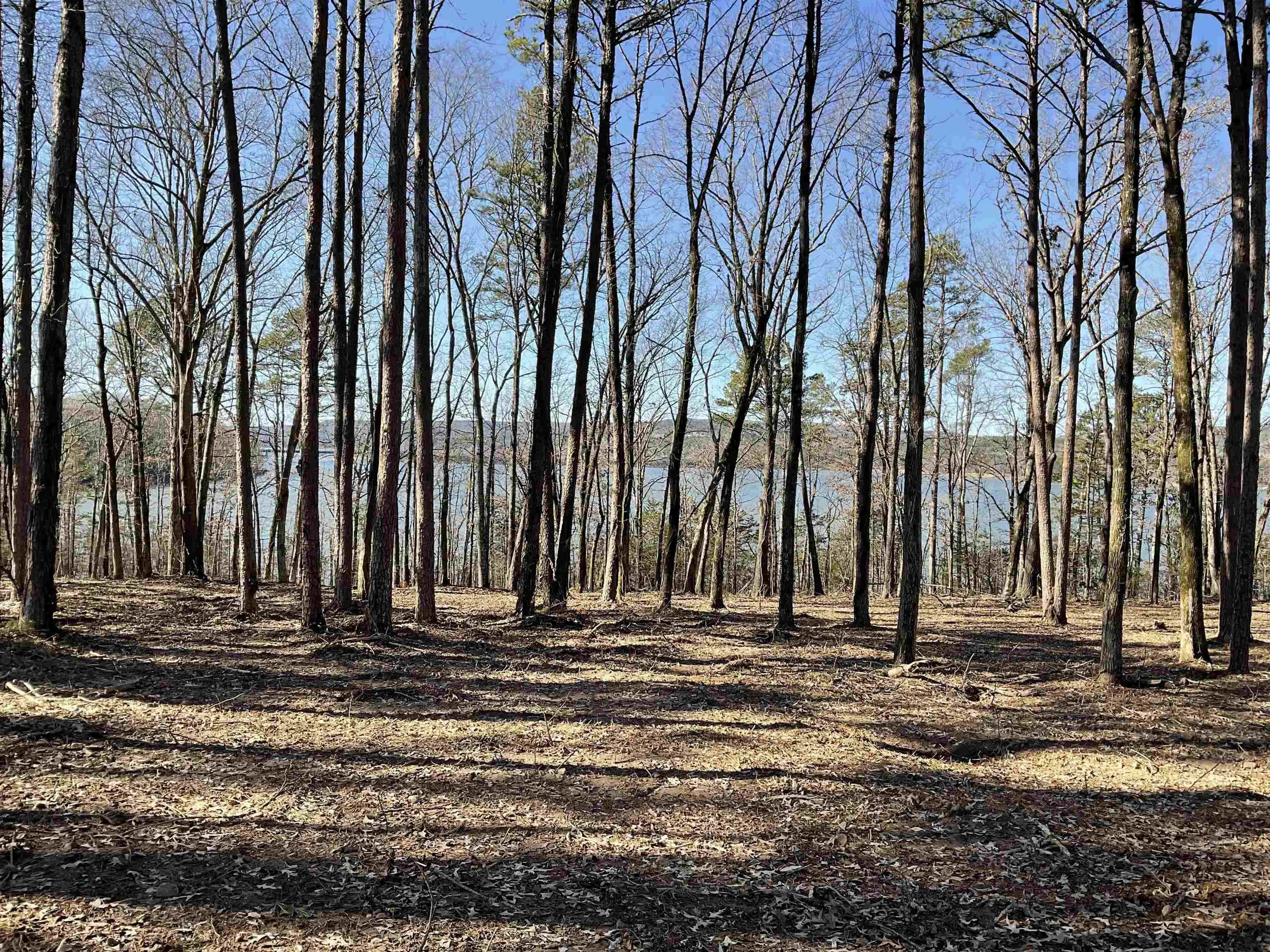 Property at L16  Elrod dr. - Image 25