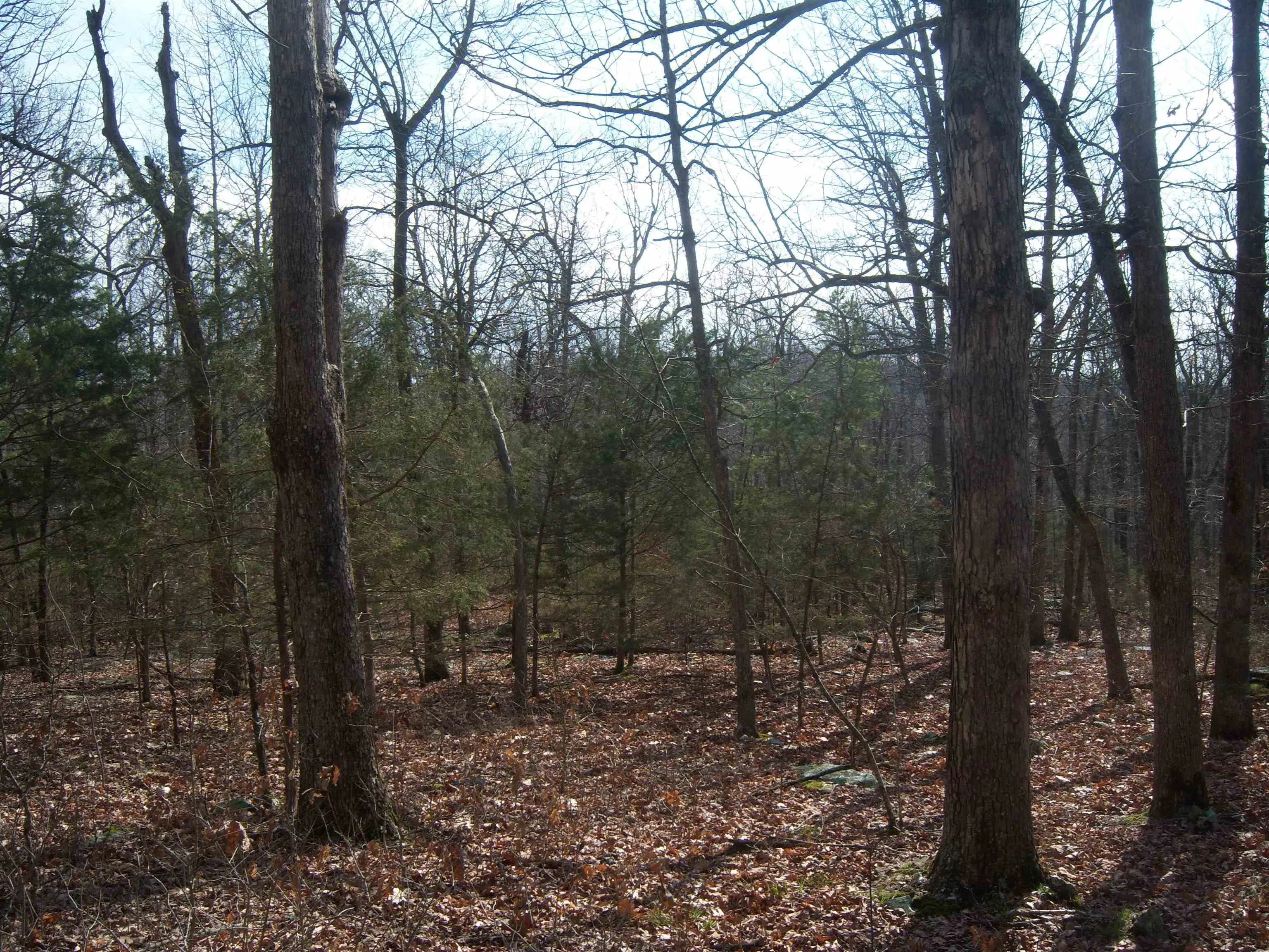 Property at Double g farm - Image 13