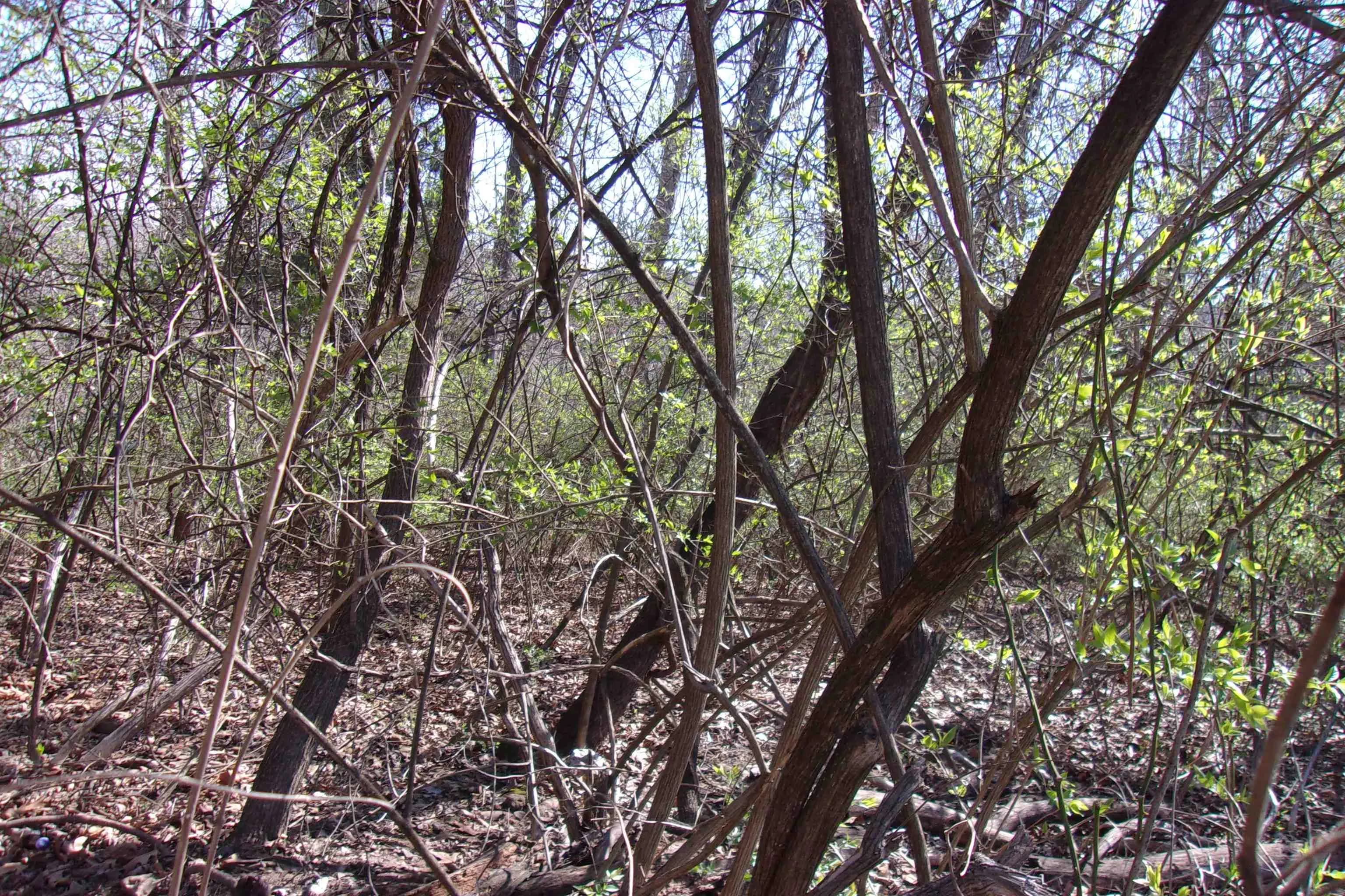 Property at 00  Alford - Image 6