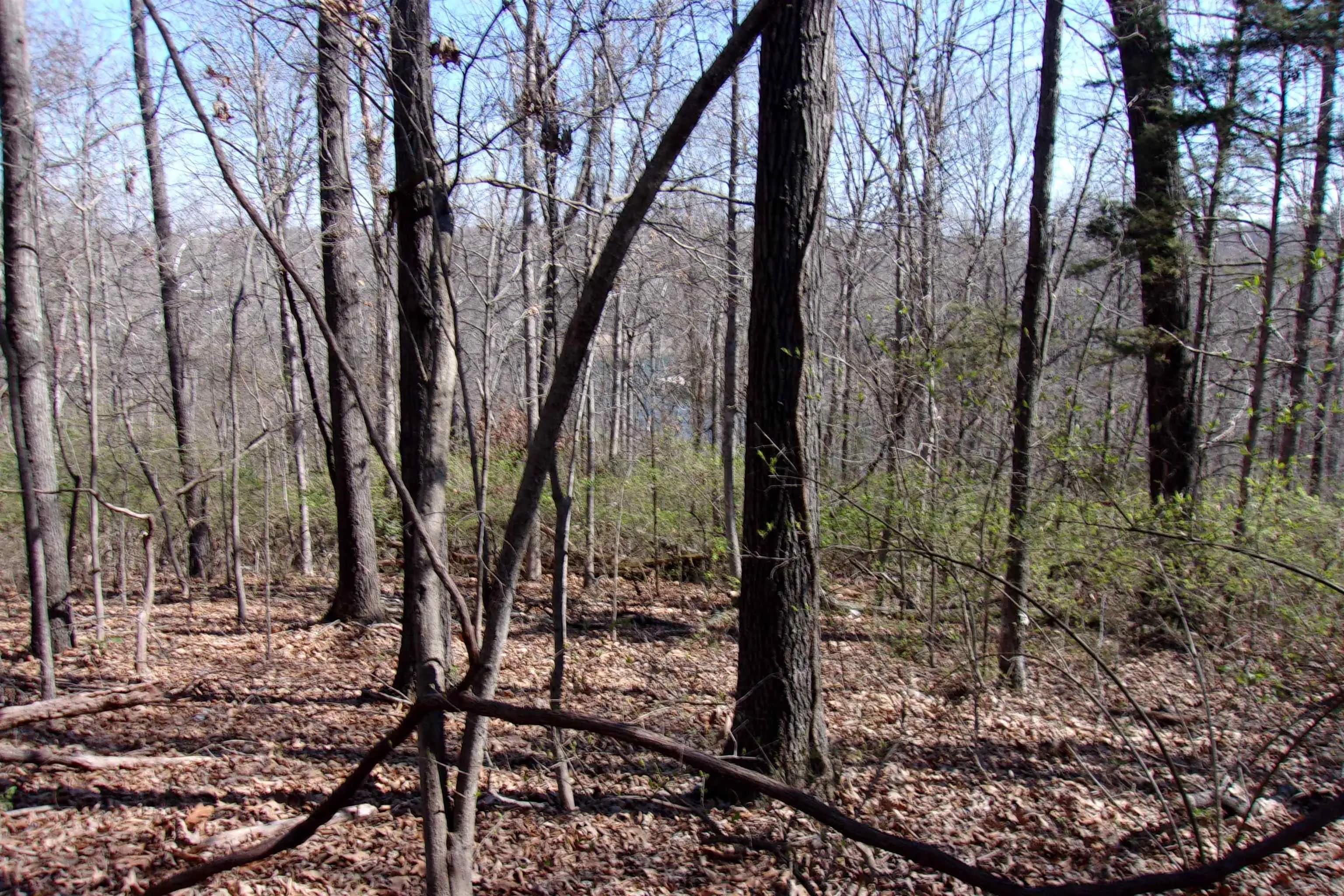Property at 00  Alford - Image 10