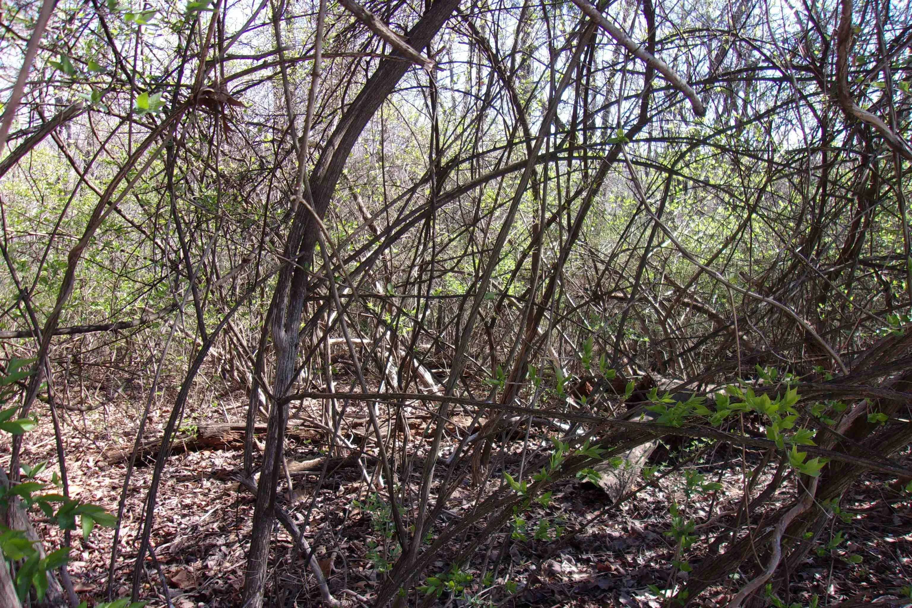 Property at 00  Alford - Image 3