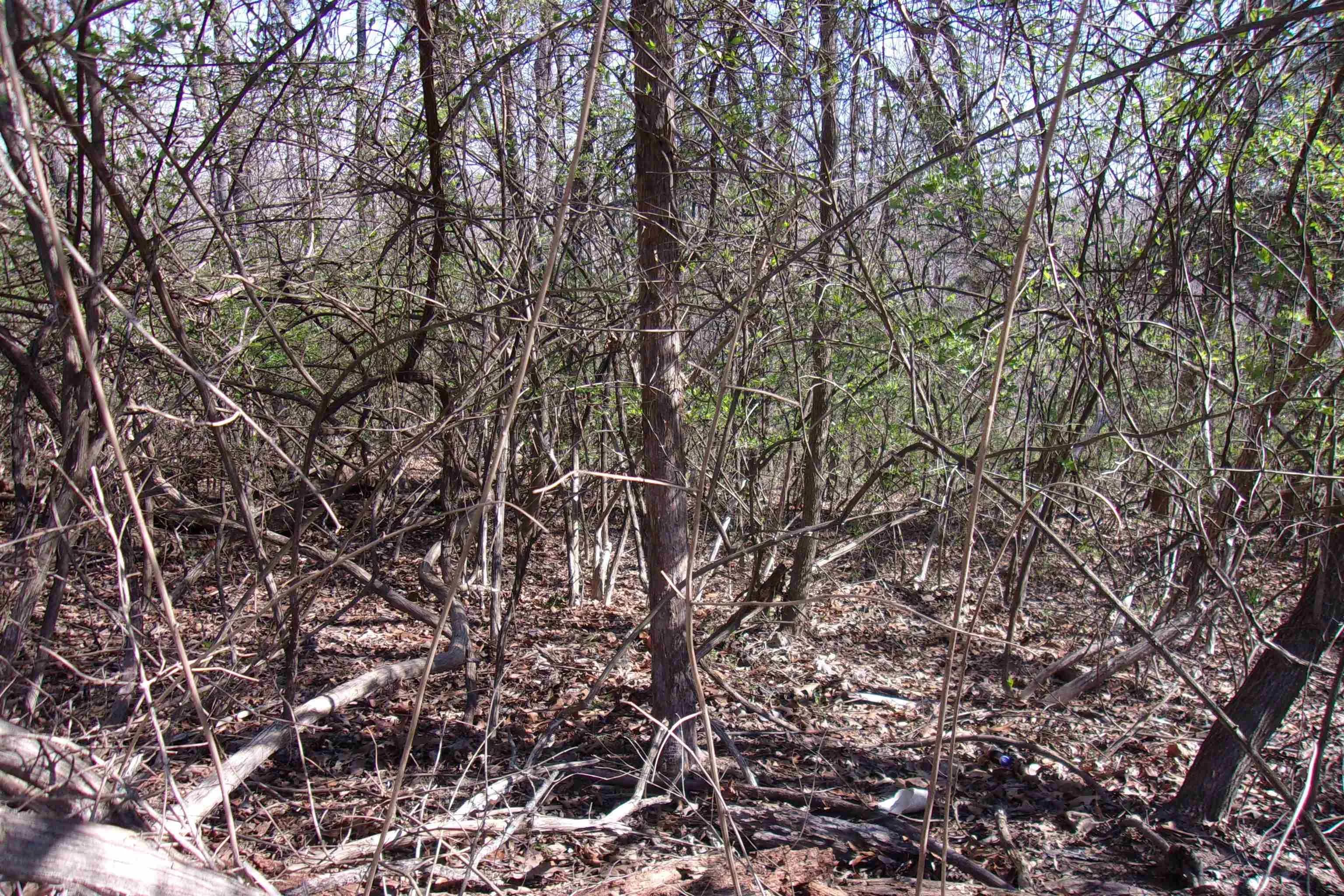 Property at 00  Alford - Image 5