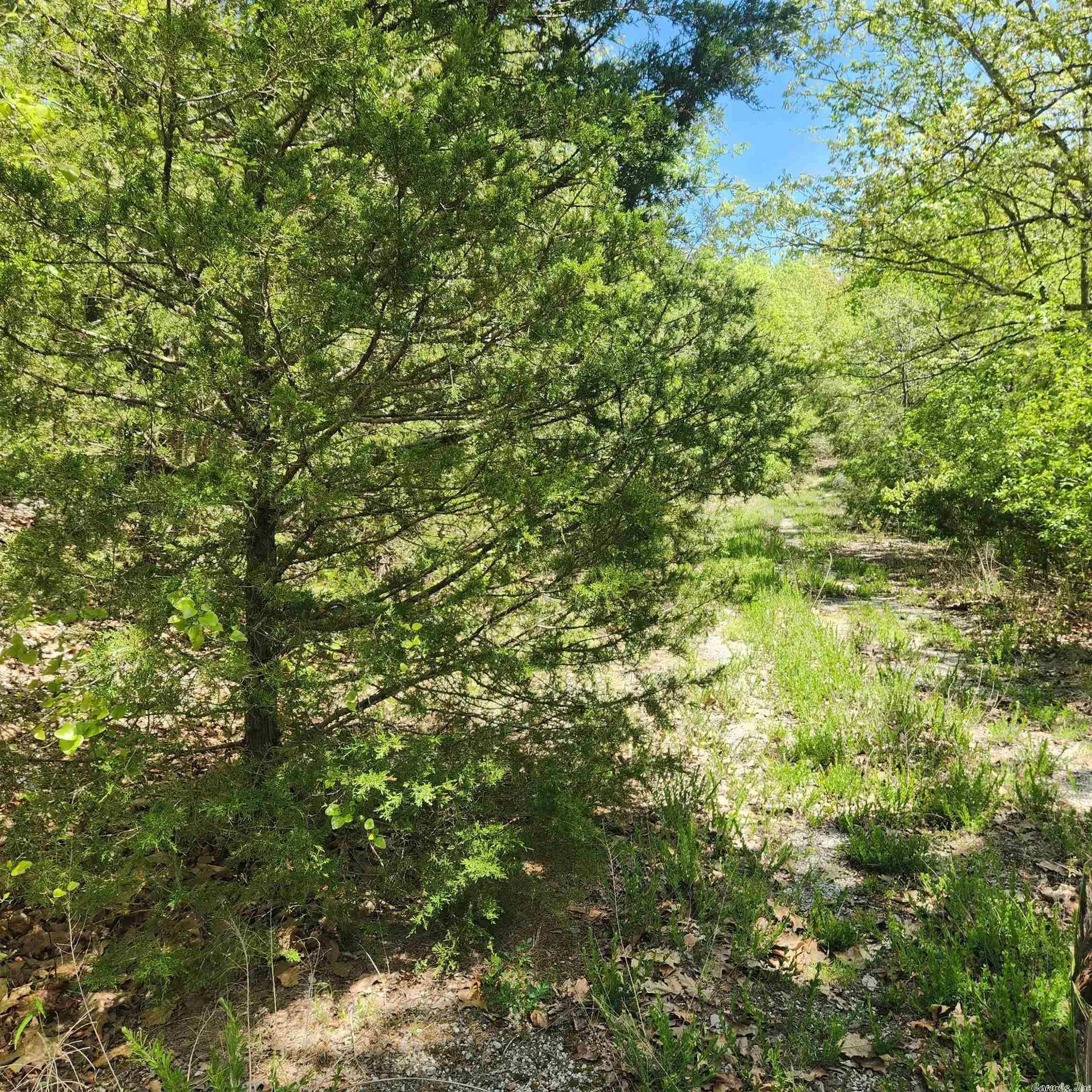 Property at L-61 B-1  Kayenta - Image 1