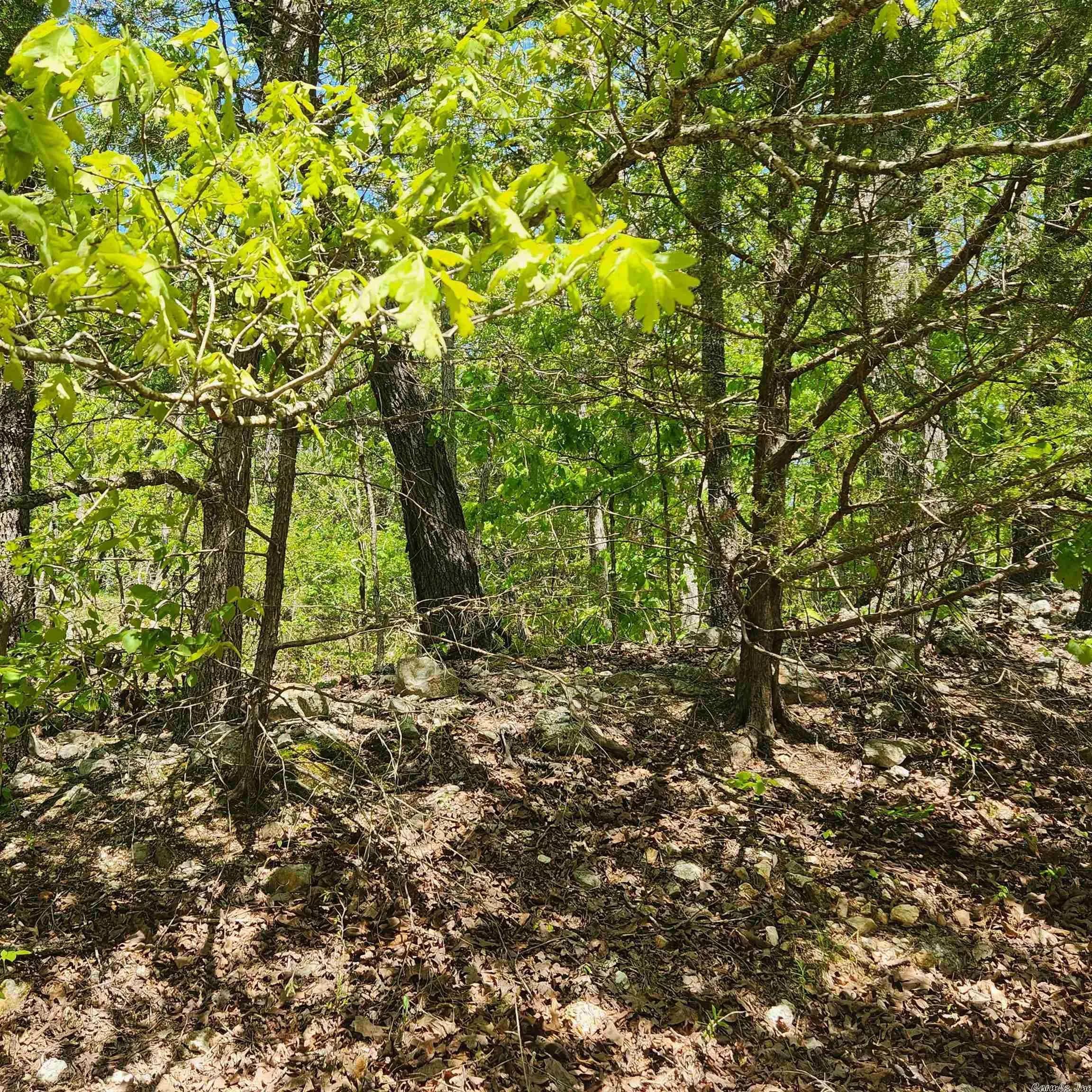 Property at L-64 B-1  Kayenta - Image 14