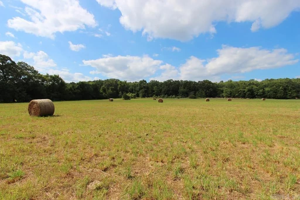 Property at 278  Hwy 64 e - Image 12