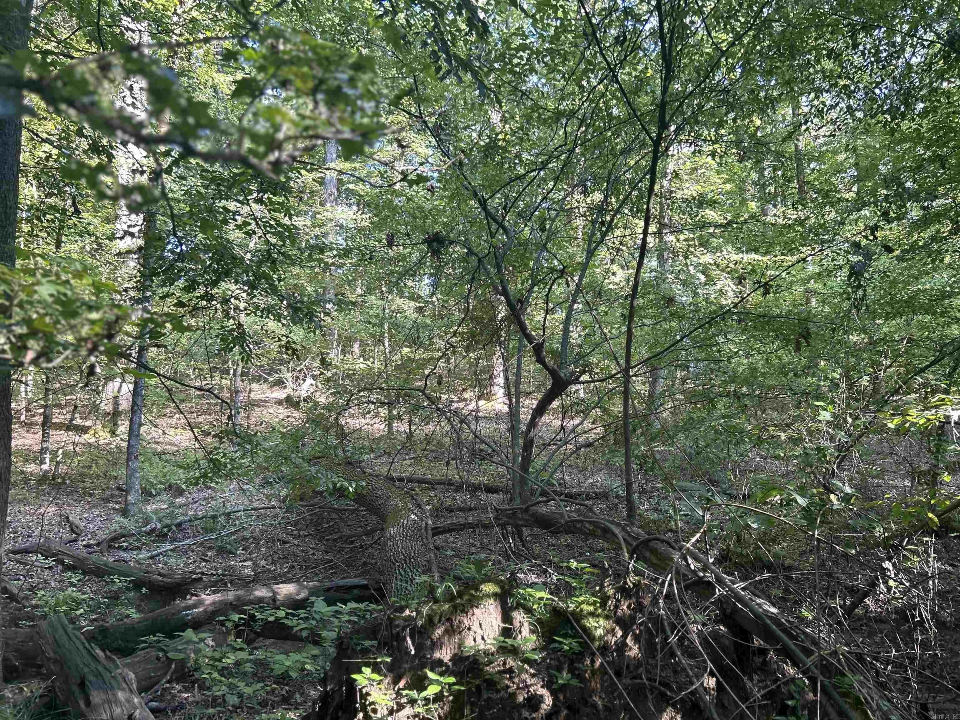 Property at 20  Sobresalir - Image 23