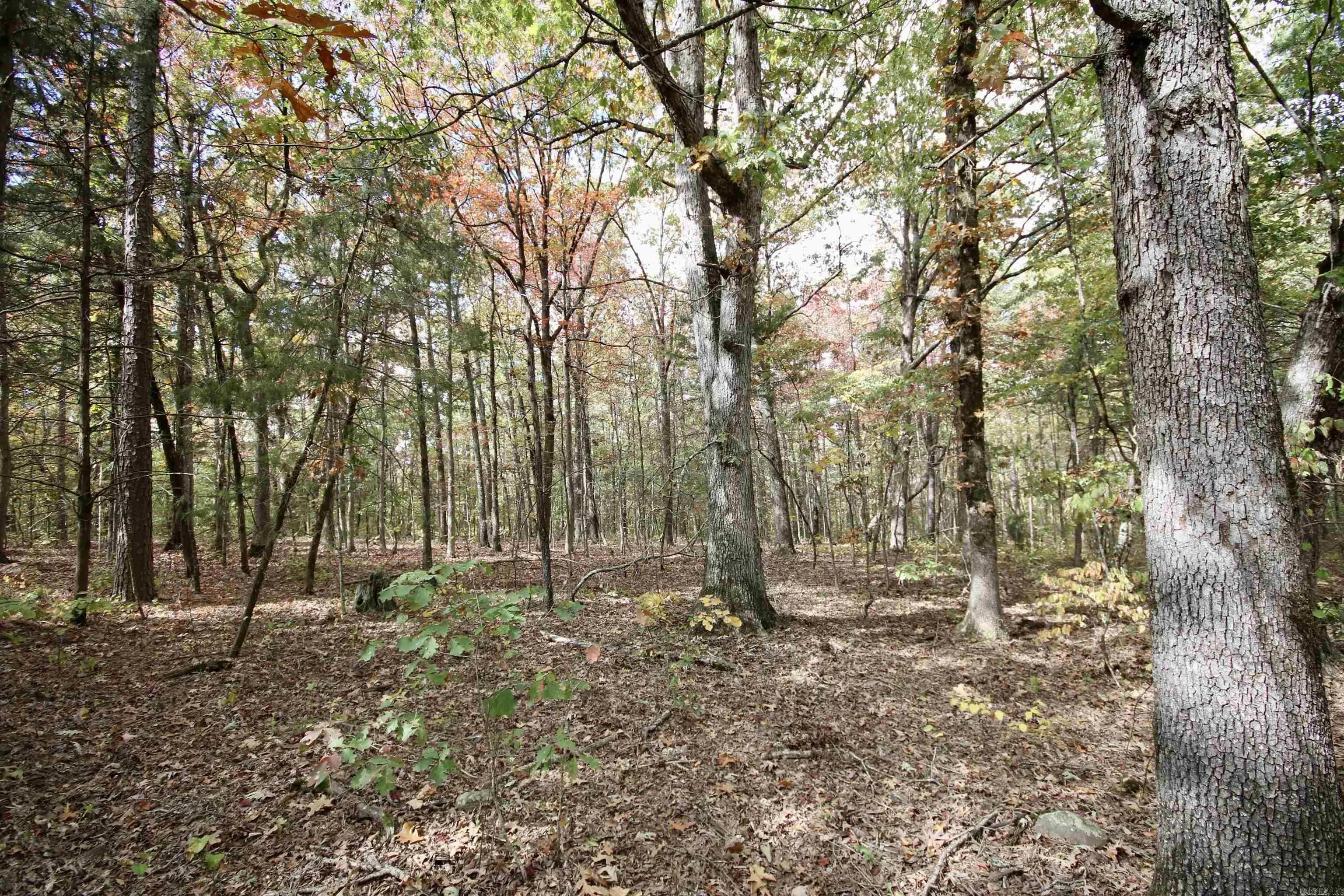 Property at 719  Eickleberry - Image 25