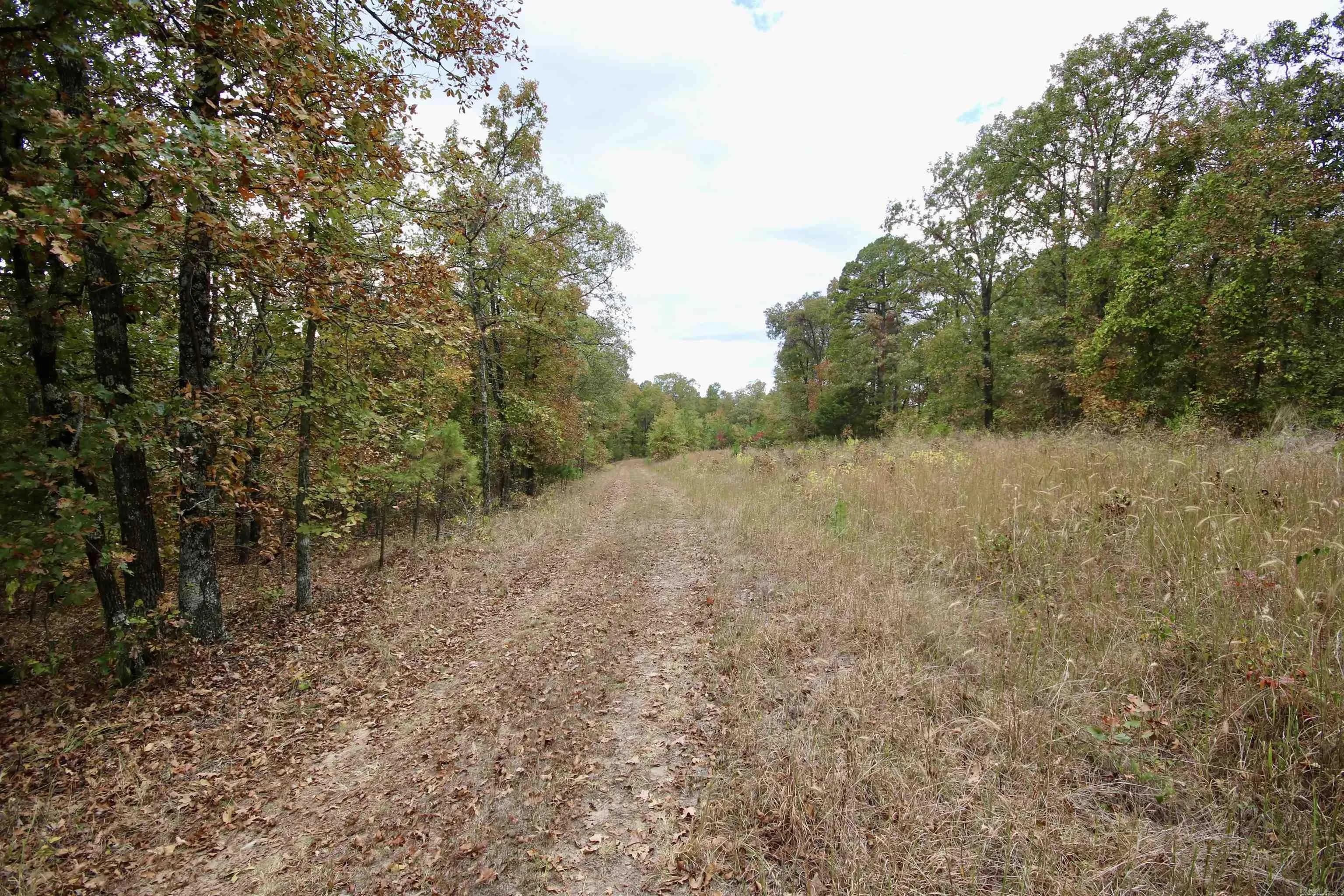 Property at 719  Eickleberry - Image 12