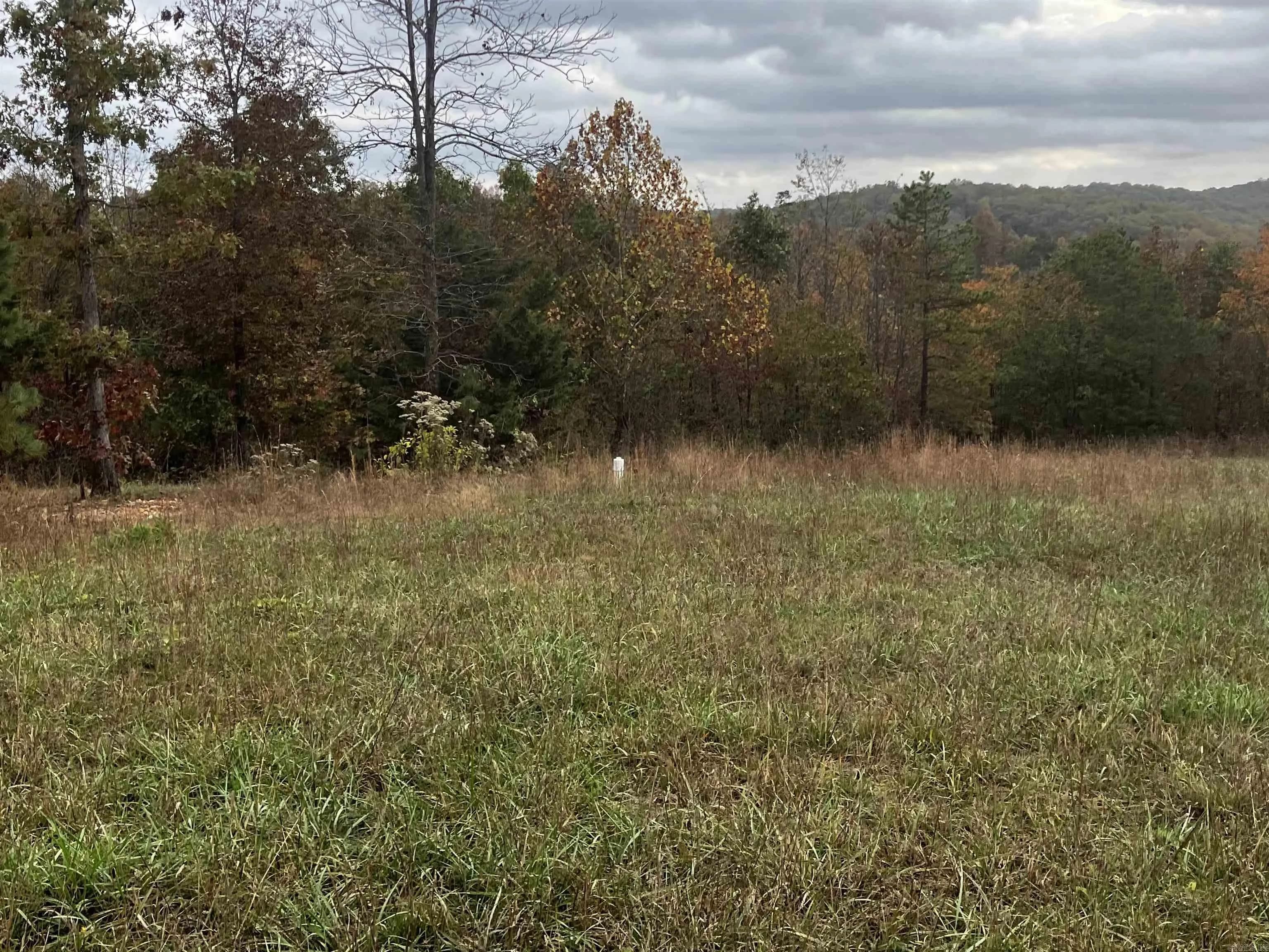 Property at 1300  Qmc - Image 8