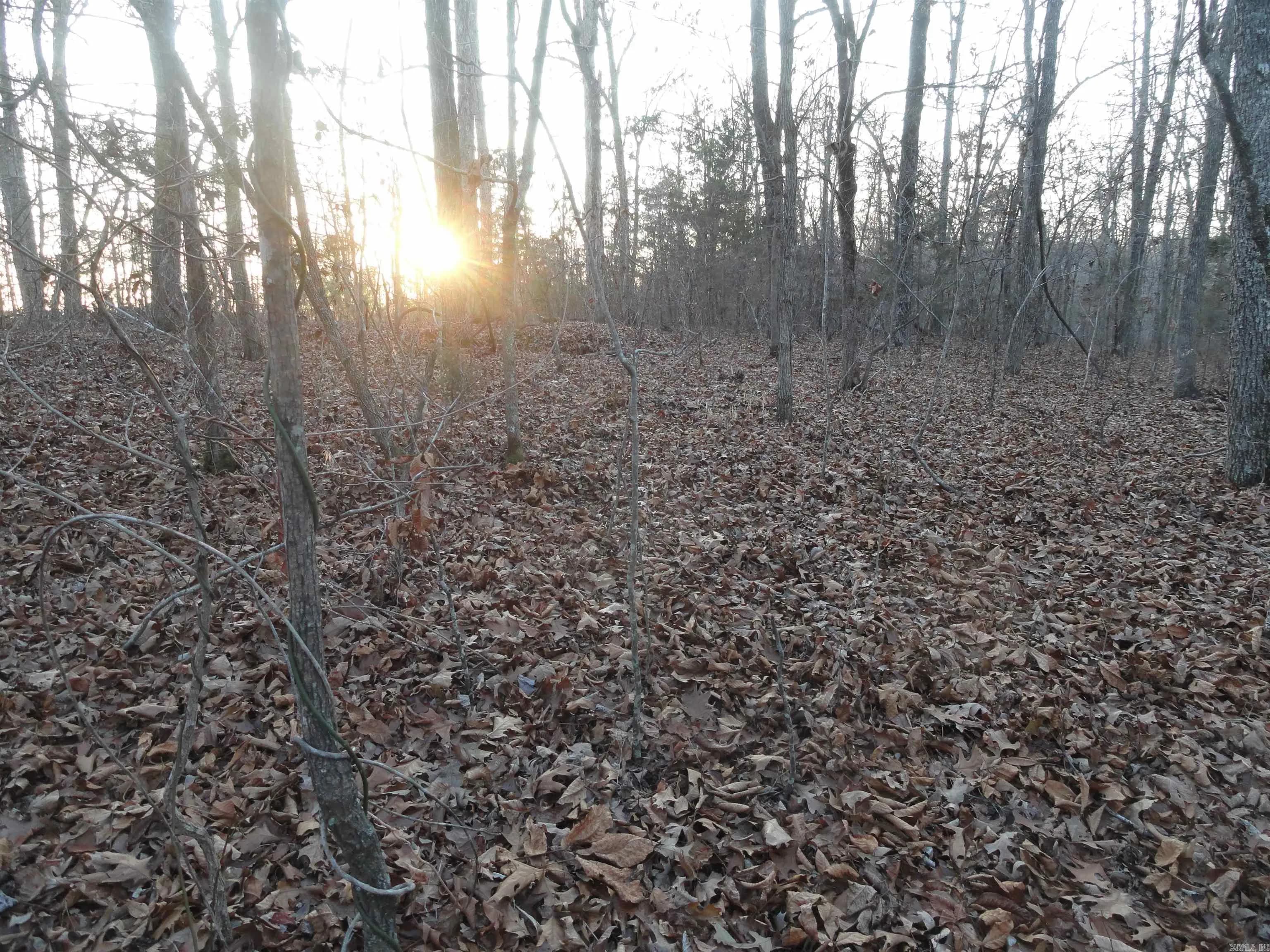 Property at 313  Mayapple - Image 7