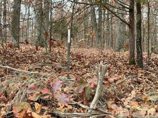 Property at TBD  Nubbin ridge - Image 29