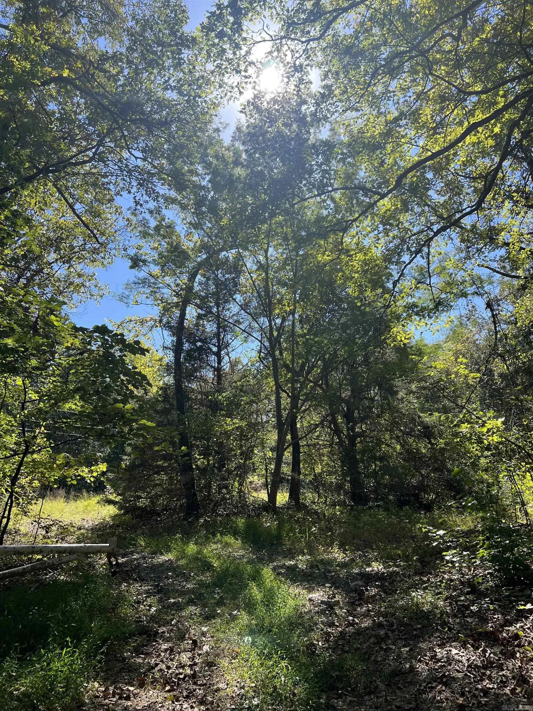 Property at 728-898  Brushy creek - Image 7