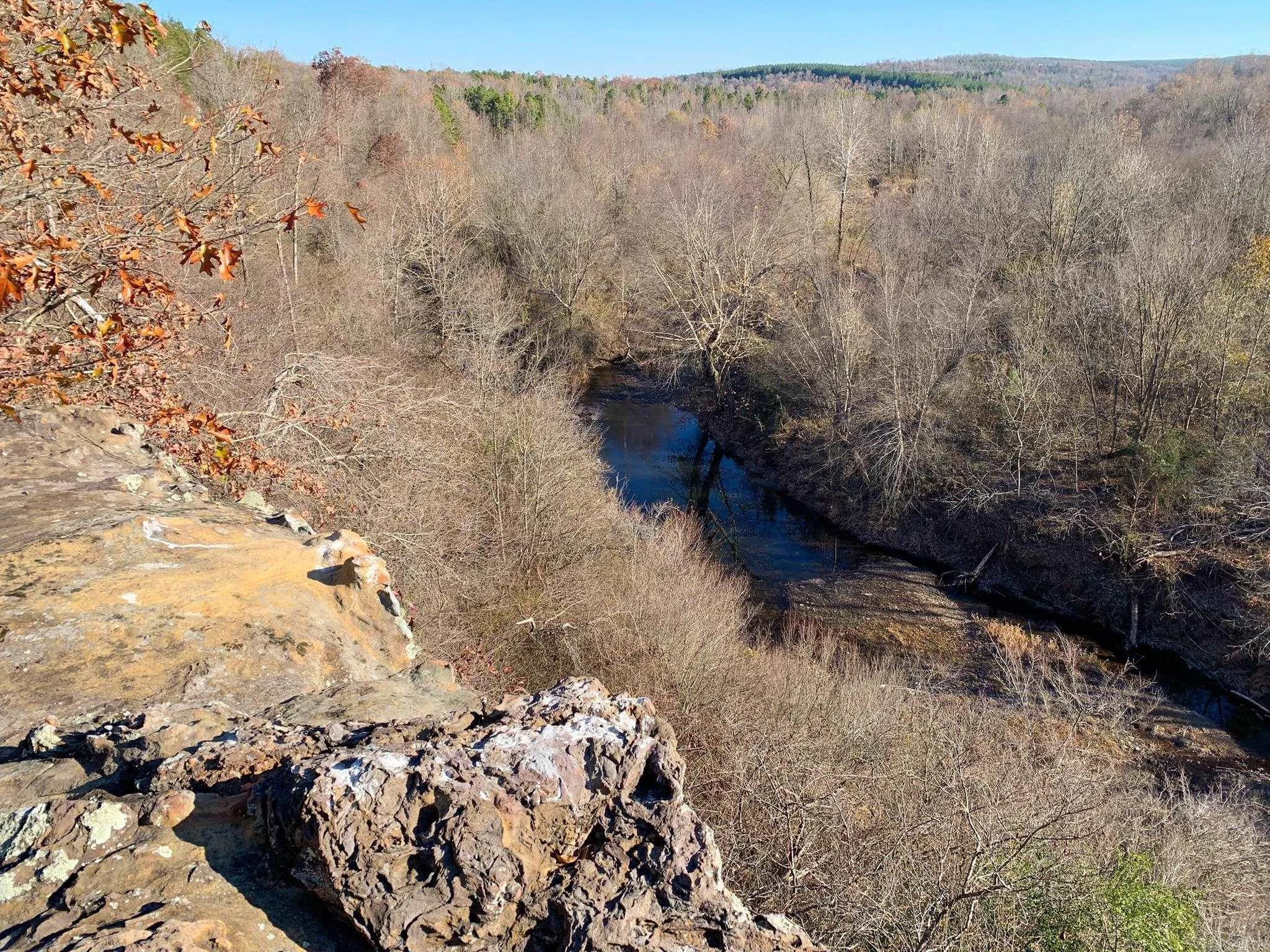 Property at 1600  Odom point - Image 6