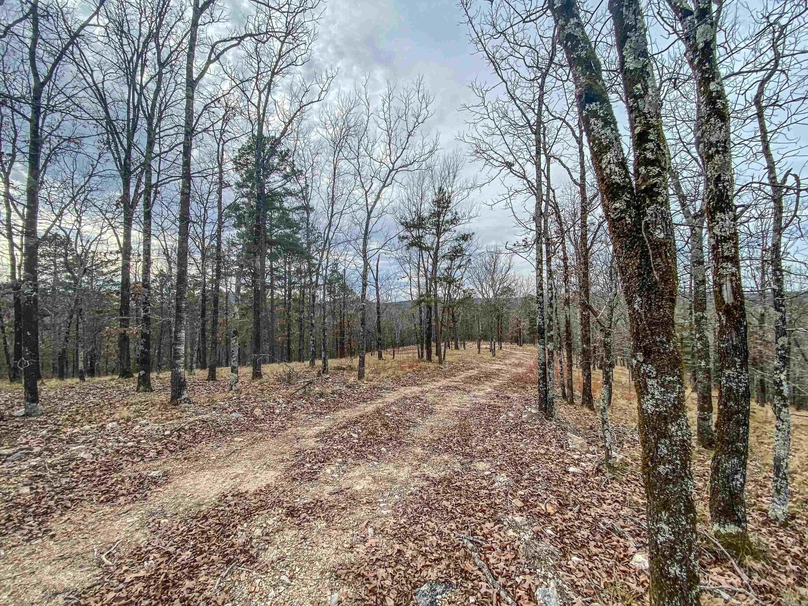 Property at 000  Shorthorn - Image 7