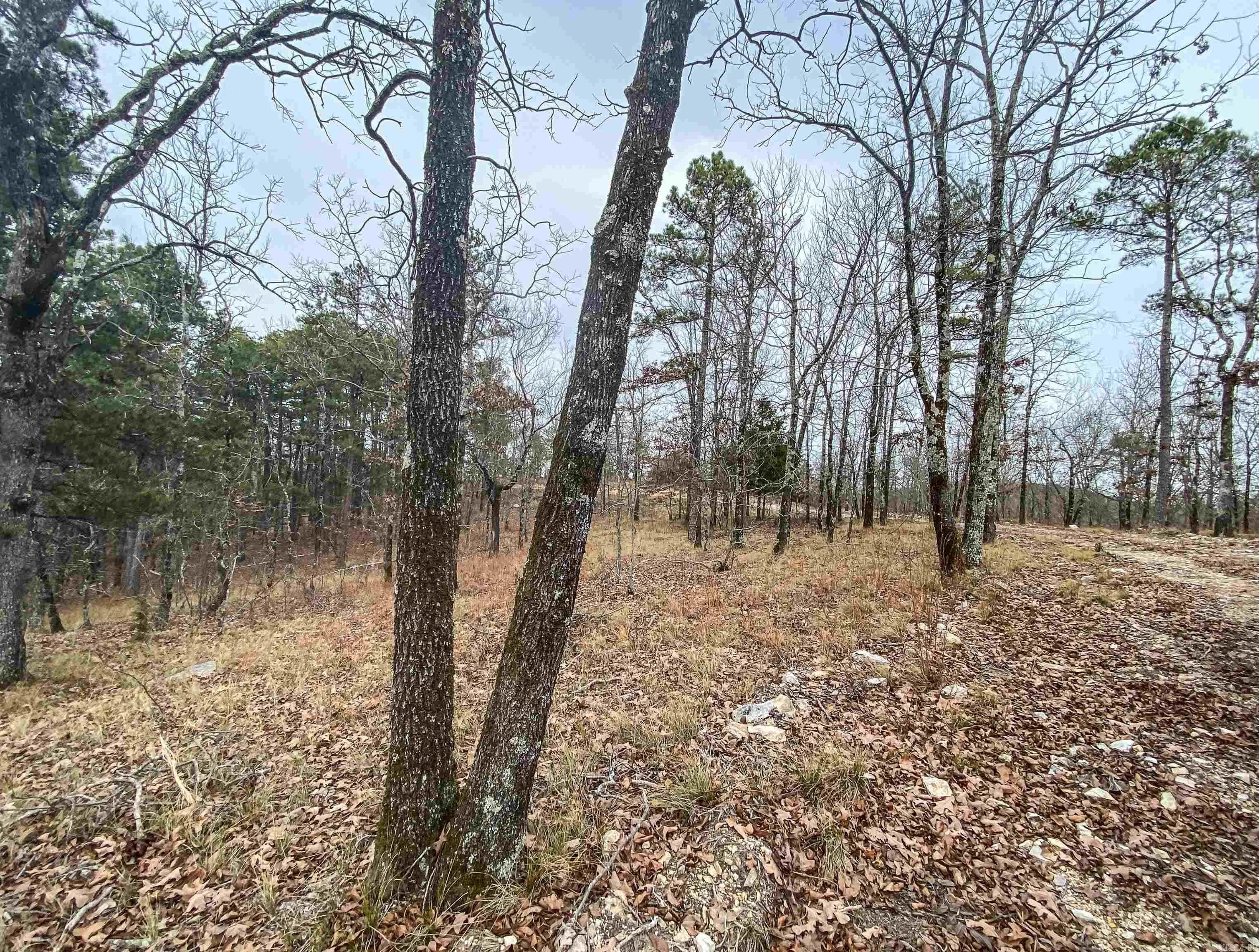 Property at 000  Shorthorn - Image 8