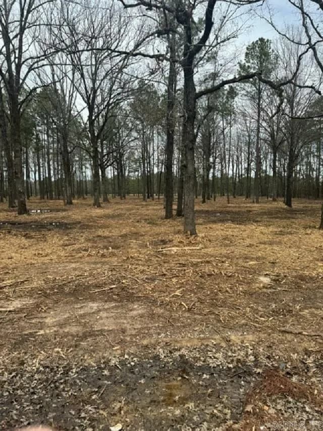 Property at TBD  Hwy 53 - Image 1