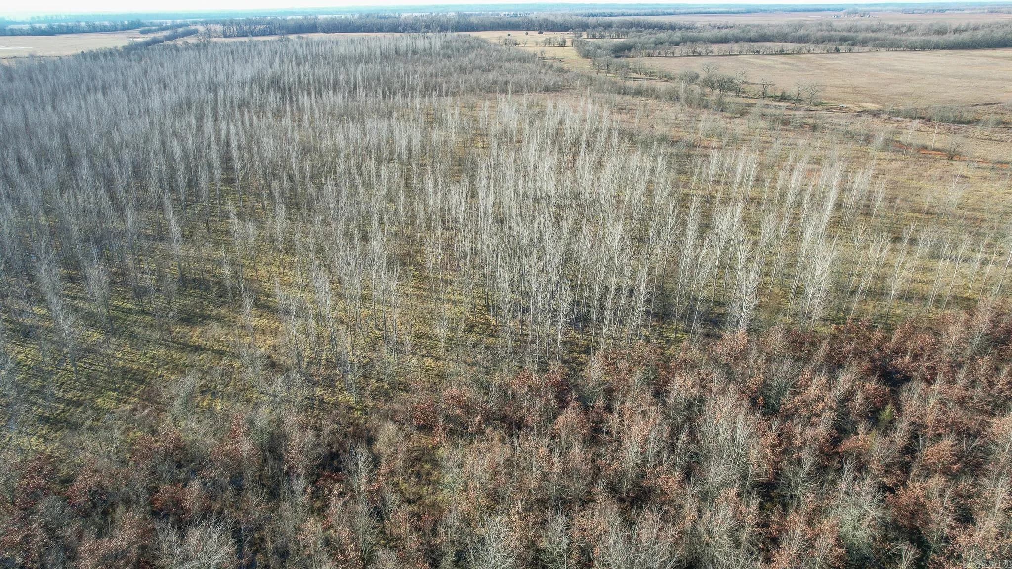 Property at TBD  Little river 32 - Image 1