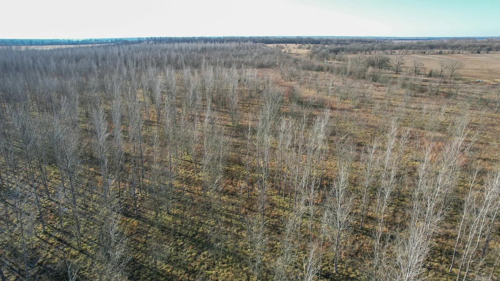 Property at TBD  Little river 32 - Image 9