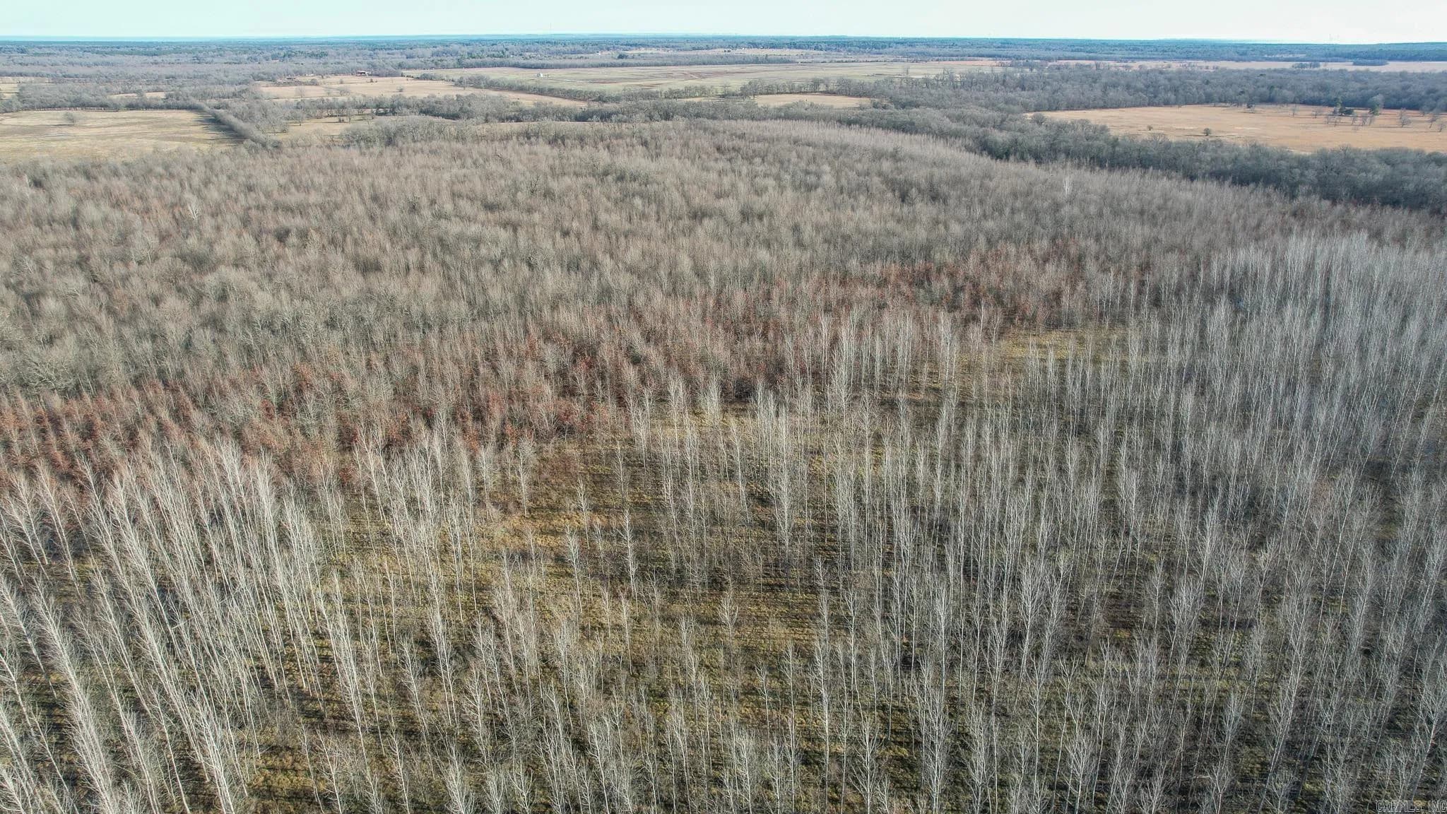 Property at TBD  Little river 32 - Image 12