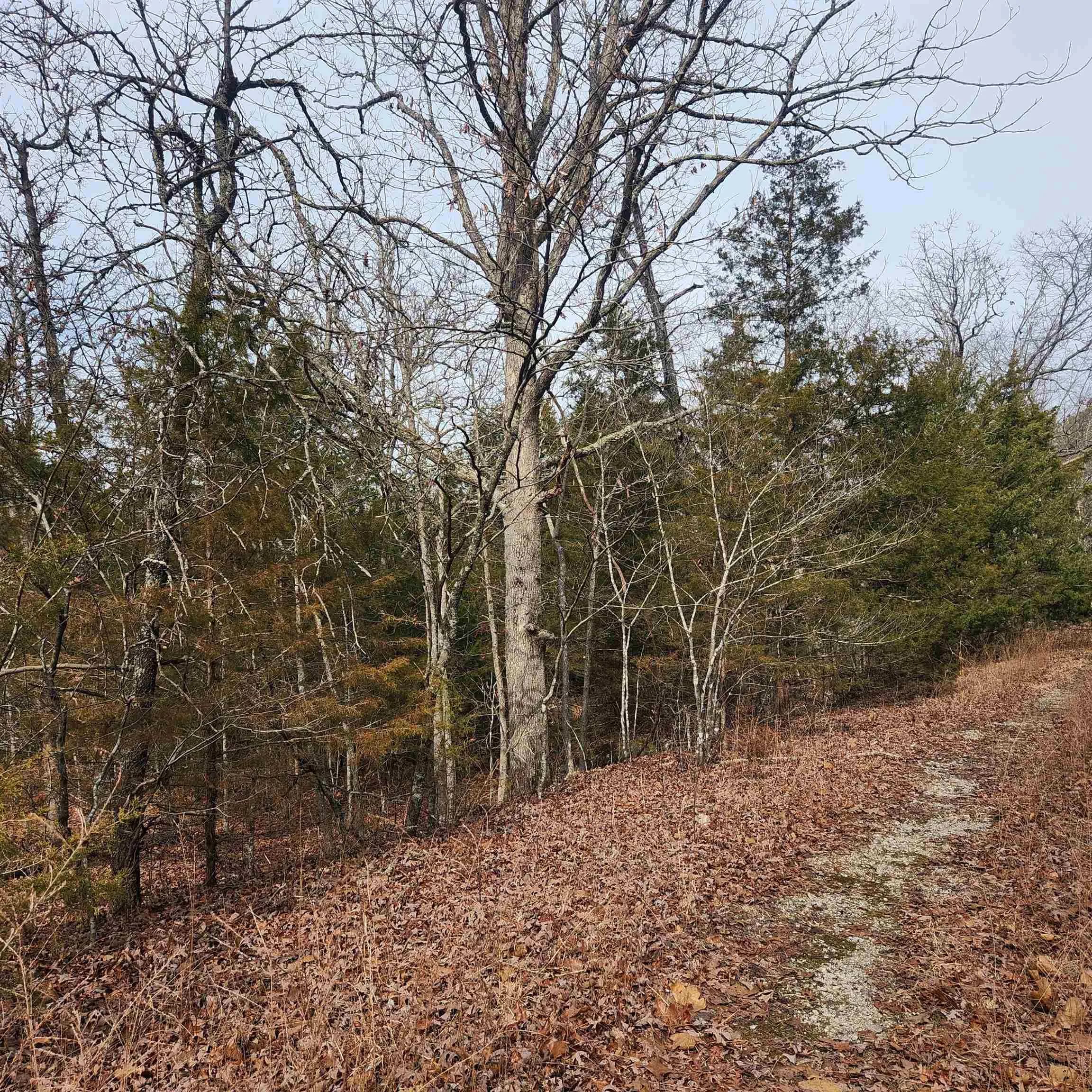 Property at L-10, B-4  Muswaki - Image 19
