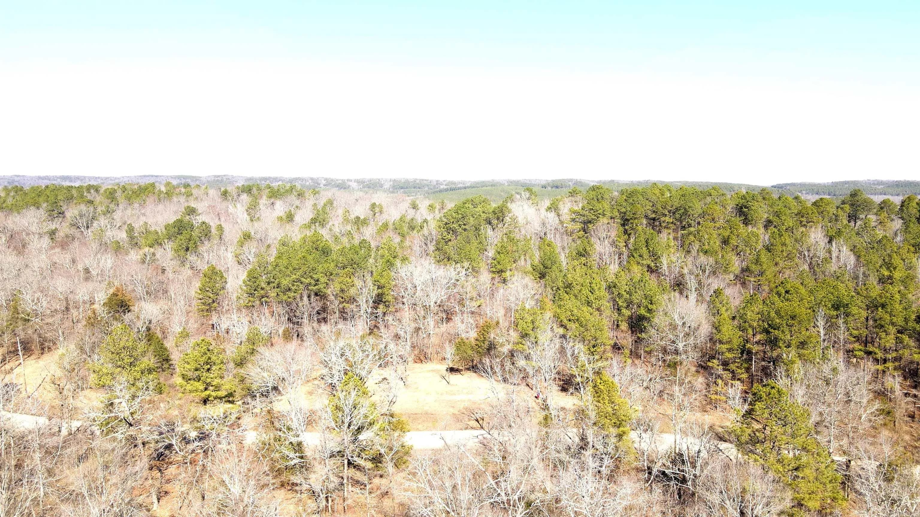 Property at TBD  Bob hall  Tract A - Image 5