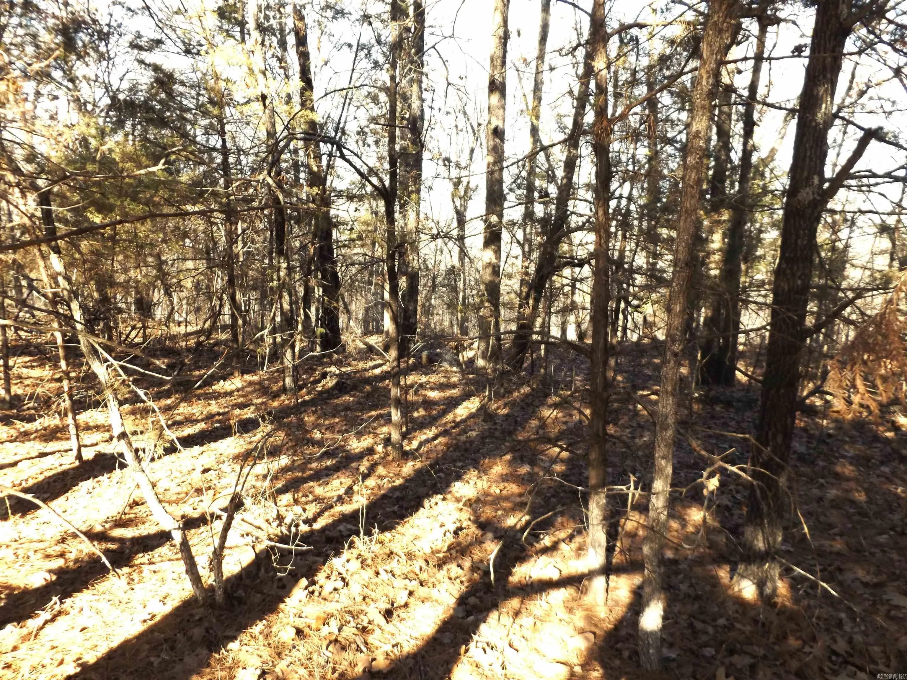 Property at Lot 2  Iroquois - Image 4