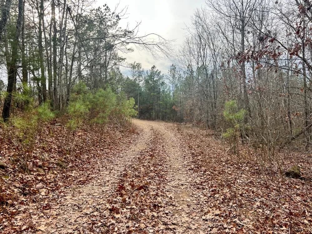 Property at 000  Dodd mountain road - Image 24