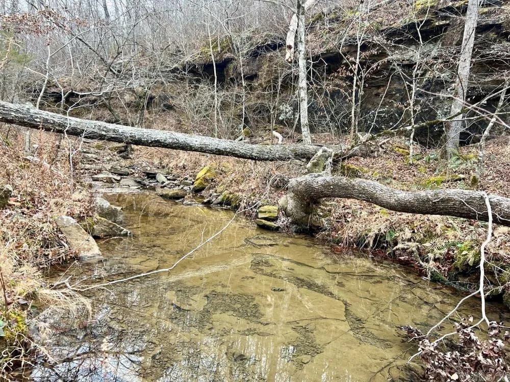 Property at 000  Dodd mountain road - Image 39
