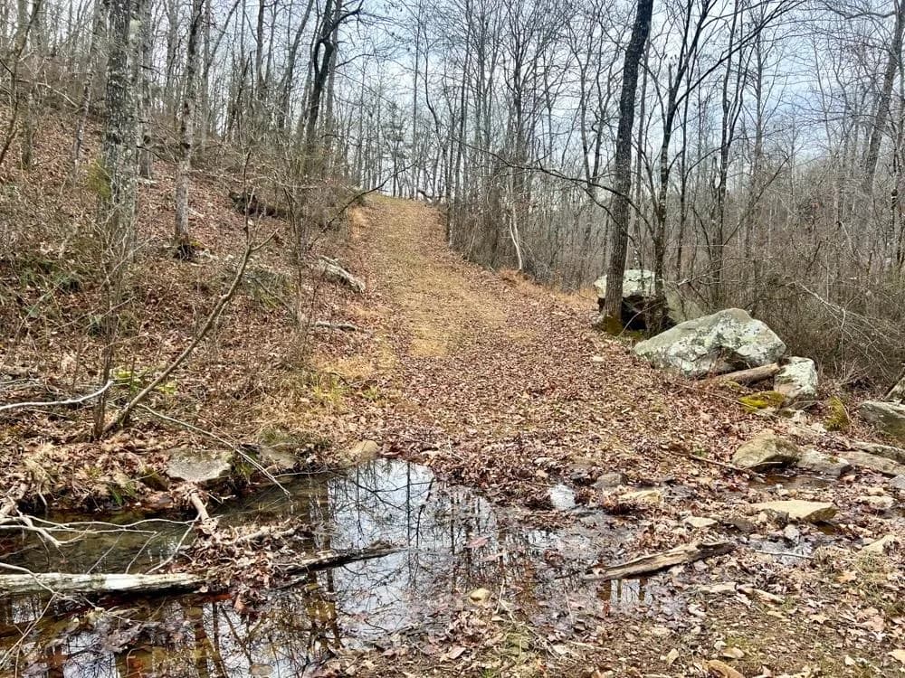 Property at 000  Dodd mountain road - Image 37