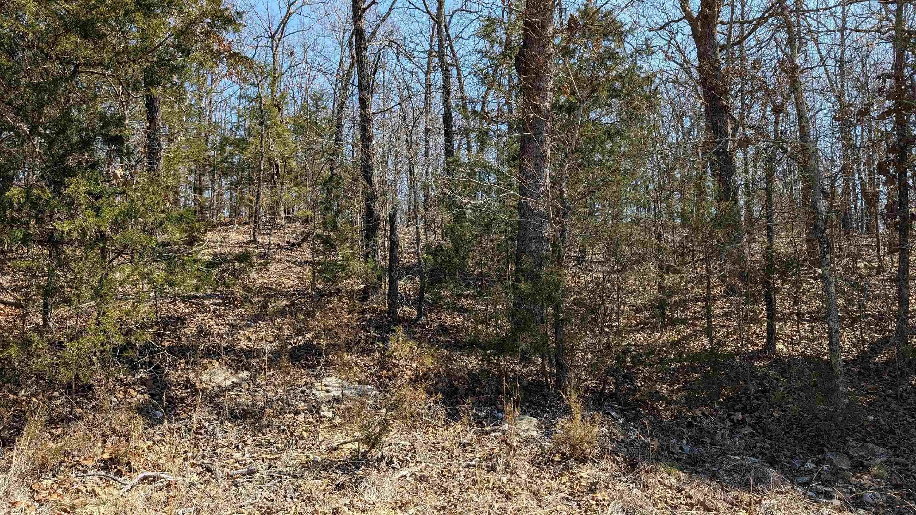 Property at 20  Telaquah - Image 4